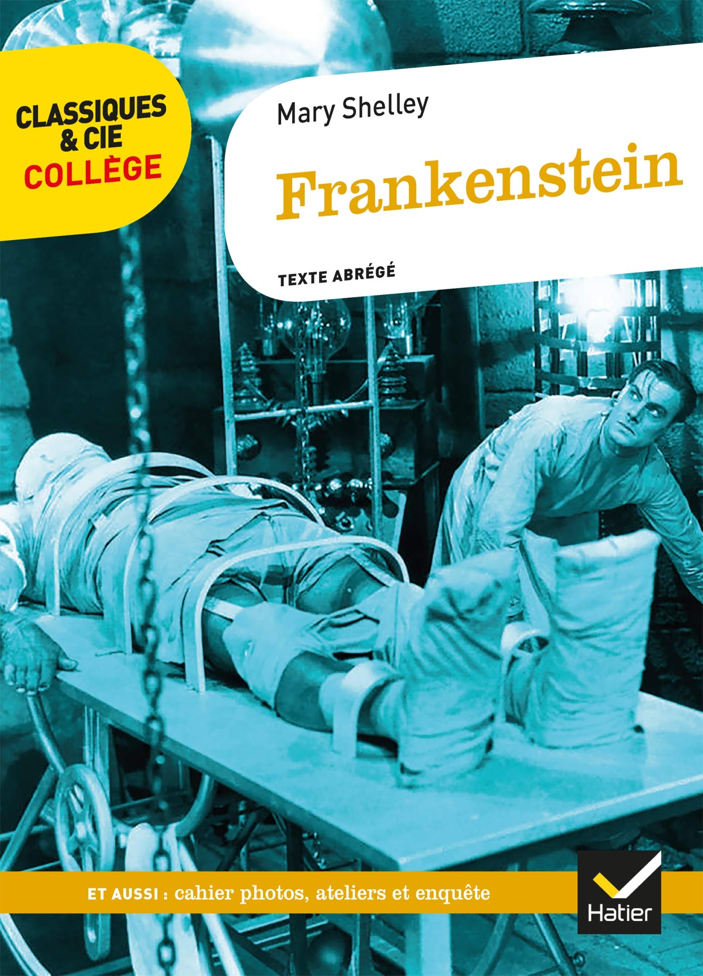 Frankenstein: avec un groupement thématique sur la figure du savant 9782401053144