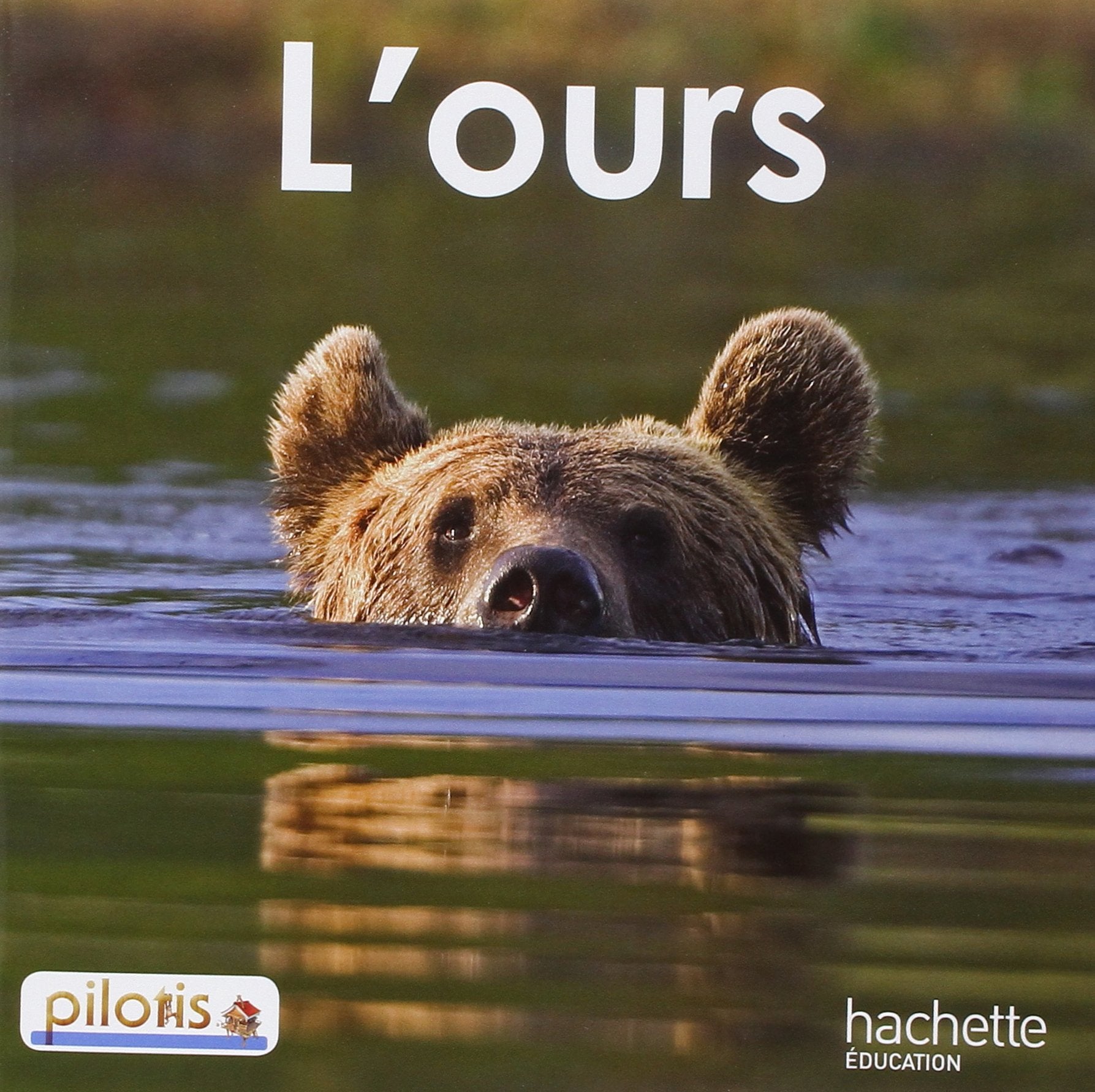 Lecture CP - Collection Pilotis - Album 2 L'Ours - Edition 2013 9782011181039