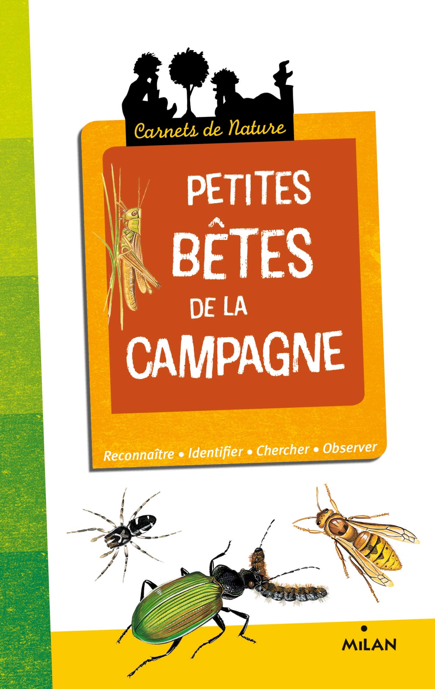 Petites bêtes de la campagne 9782745952592