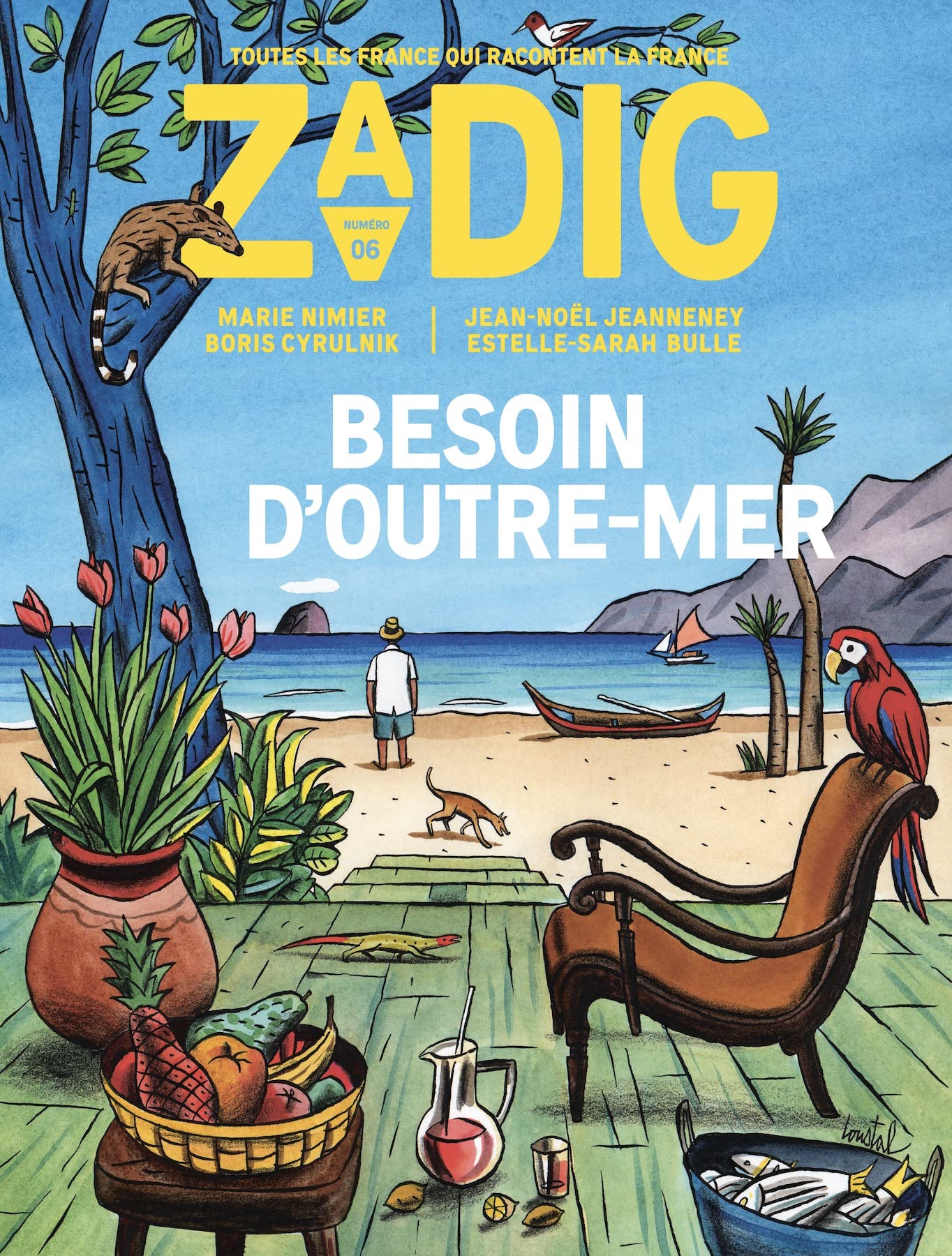 Zadig - Besoin d'Outre-Mer 9782490941094