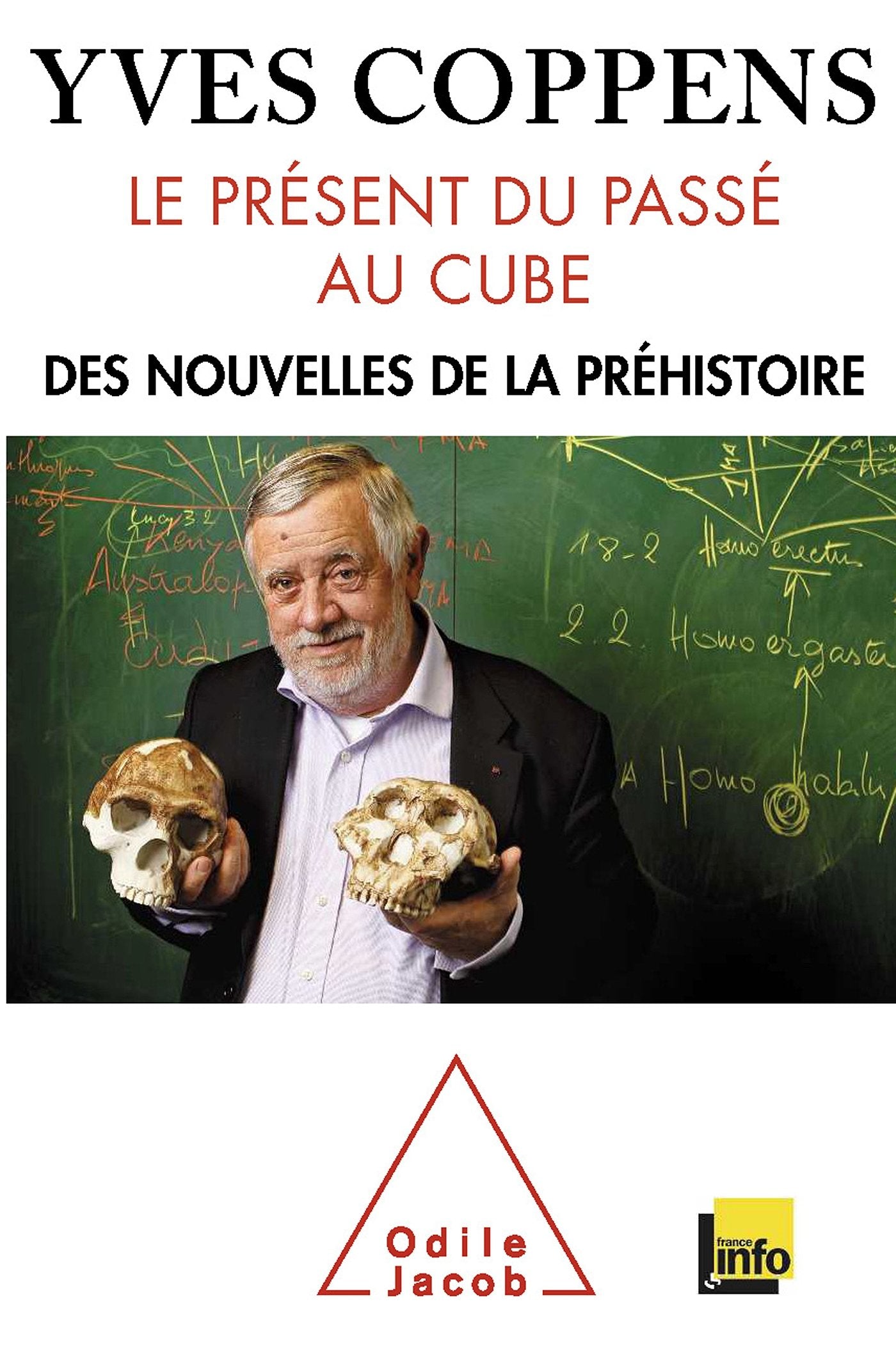 Le Présent du passé au cube: Des nouvelles de la préhistoire 9782738127792