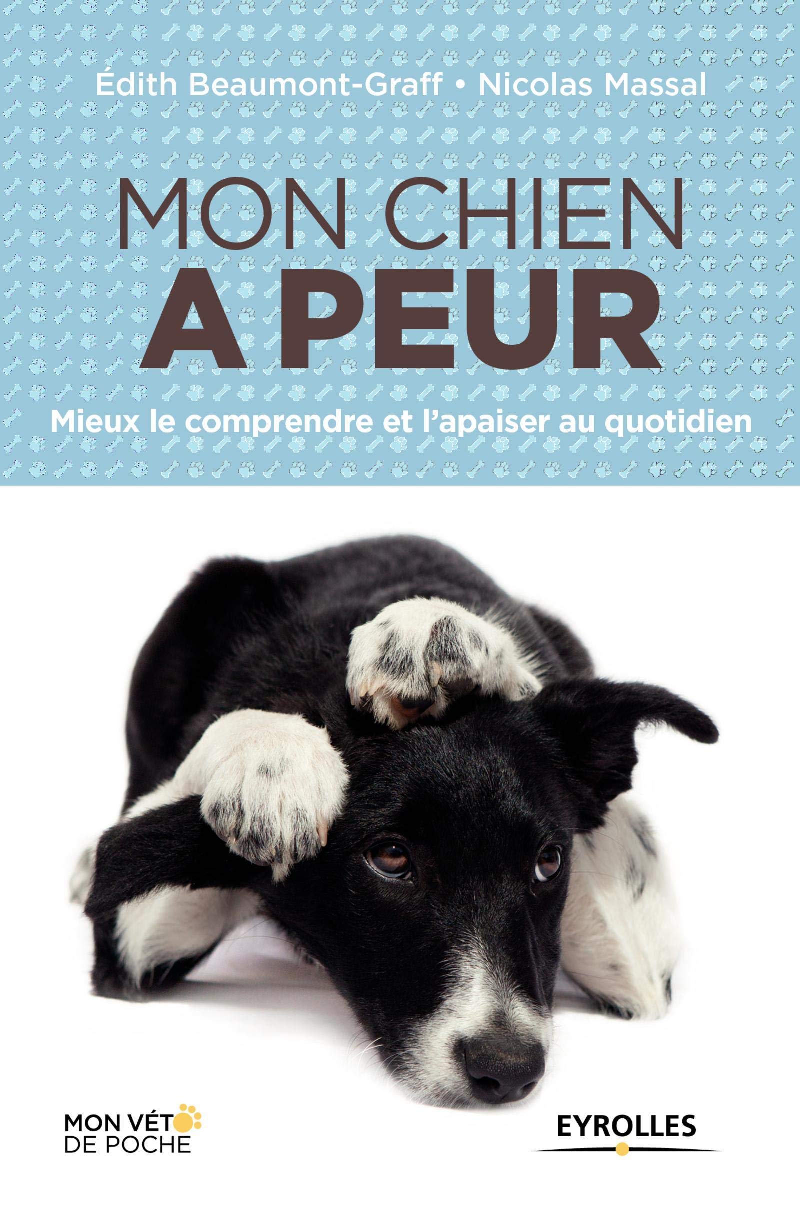 Mon chien a peur : Mieux le comprendre et l'apaiser au quotidien 9782212558944