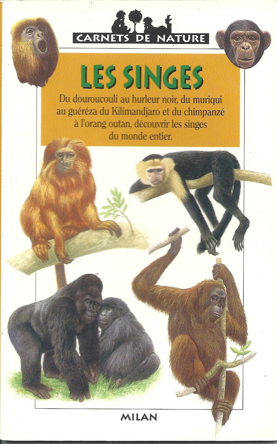 Les singes 9782841136315