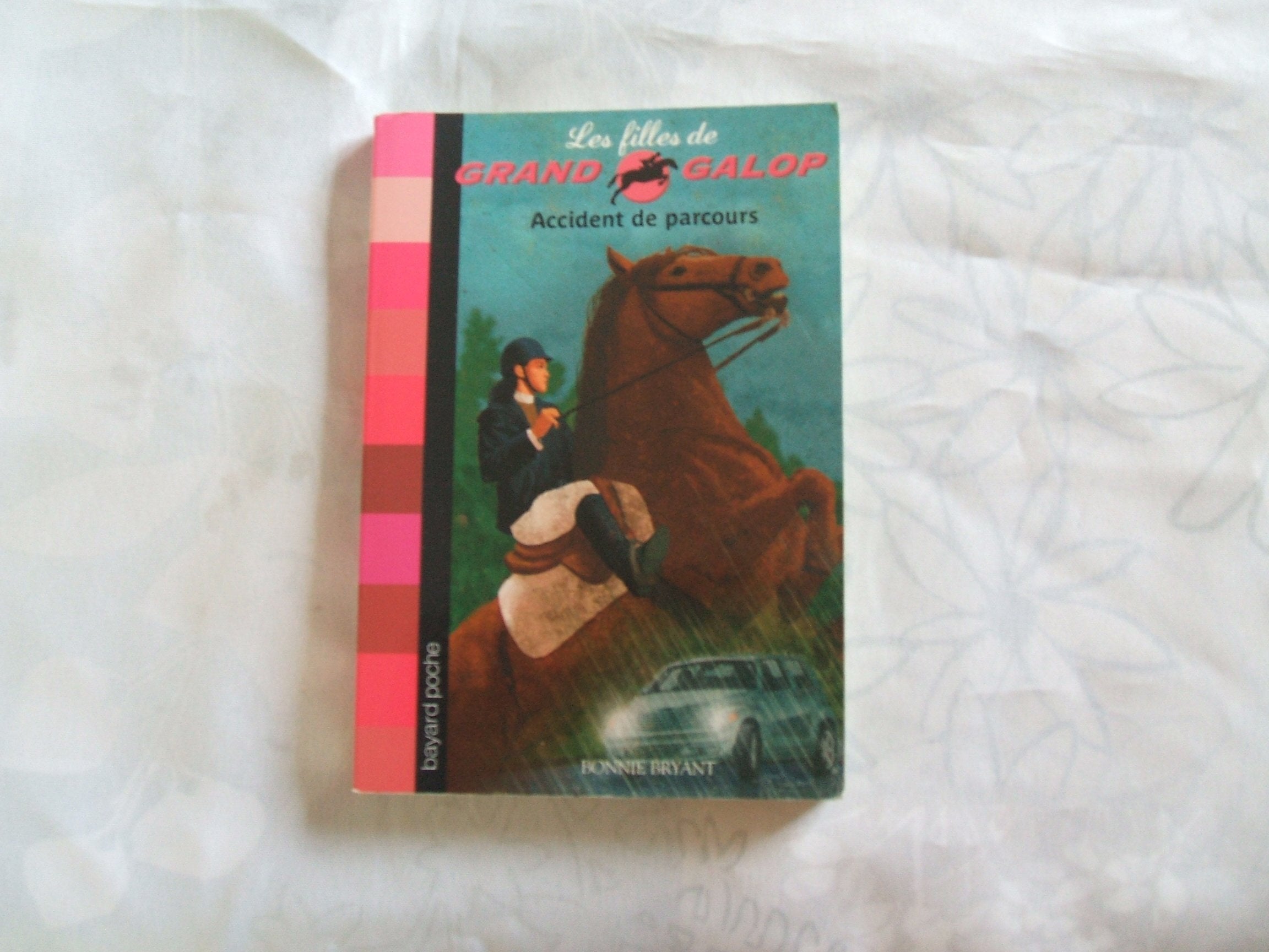 Accident de parcours 9782747019361