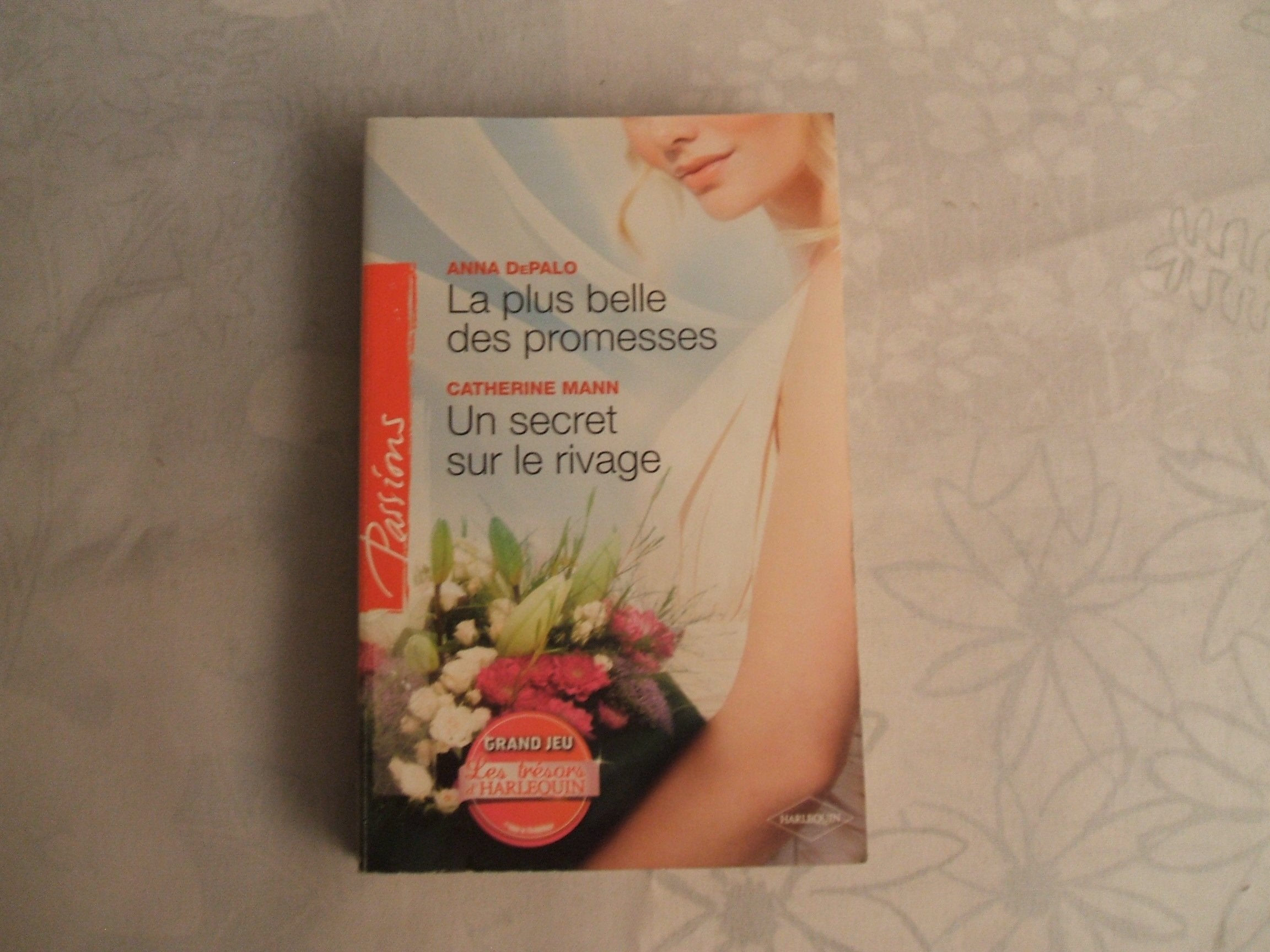 La plus belle des promesses ; Un secret sur le rivage 9782280233187