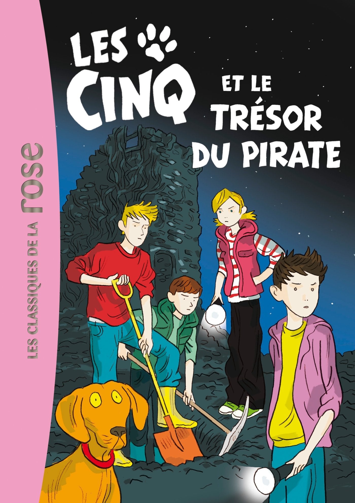 Les Cinq 41 - Les Cinq et le trésor du pirate 9782014002911