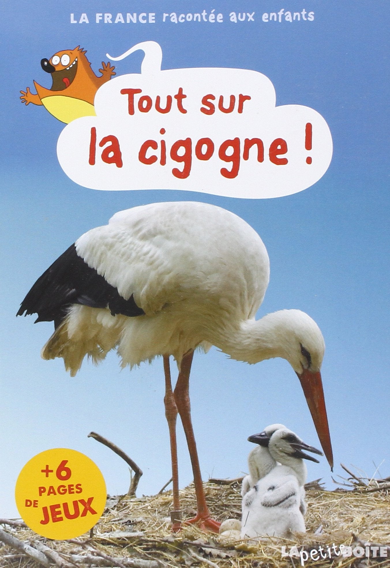 TOUT SUR LA CIGOGNE! L ALSACE 9782361521738