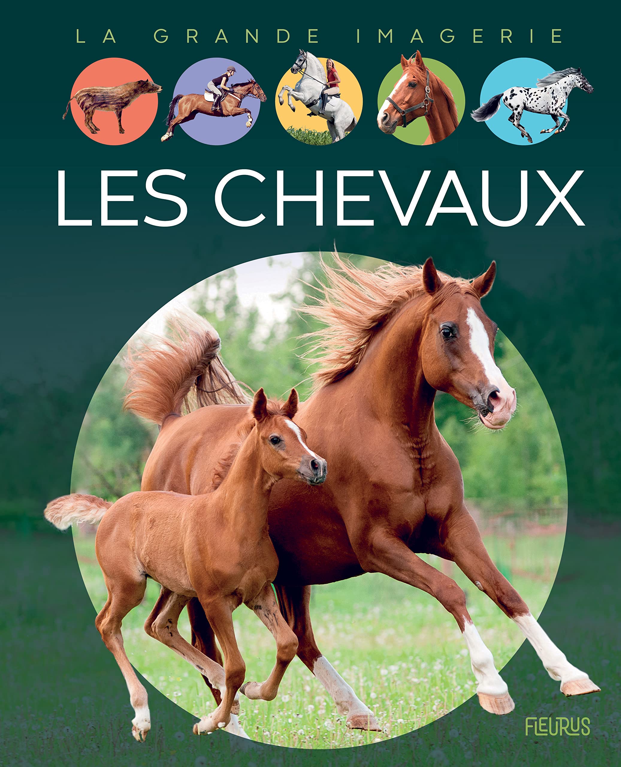 Les chevaux 9782215164746