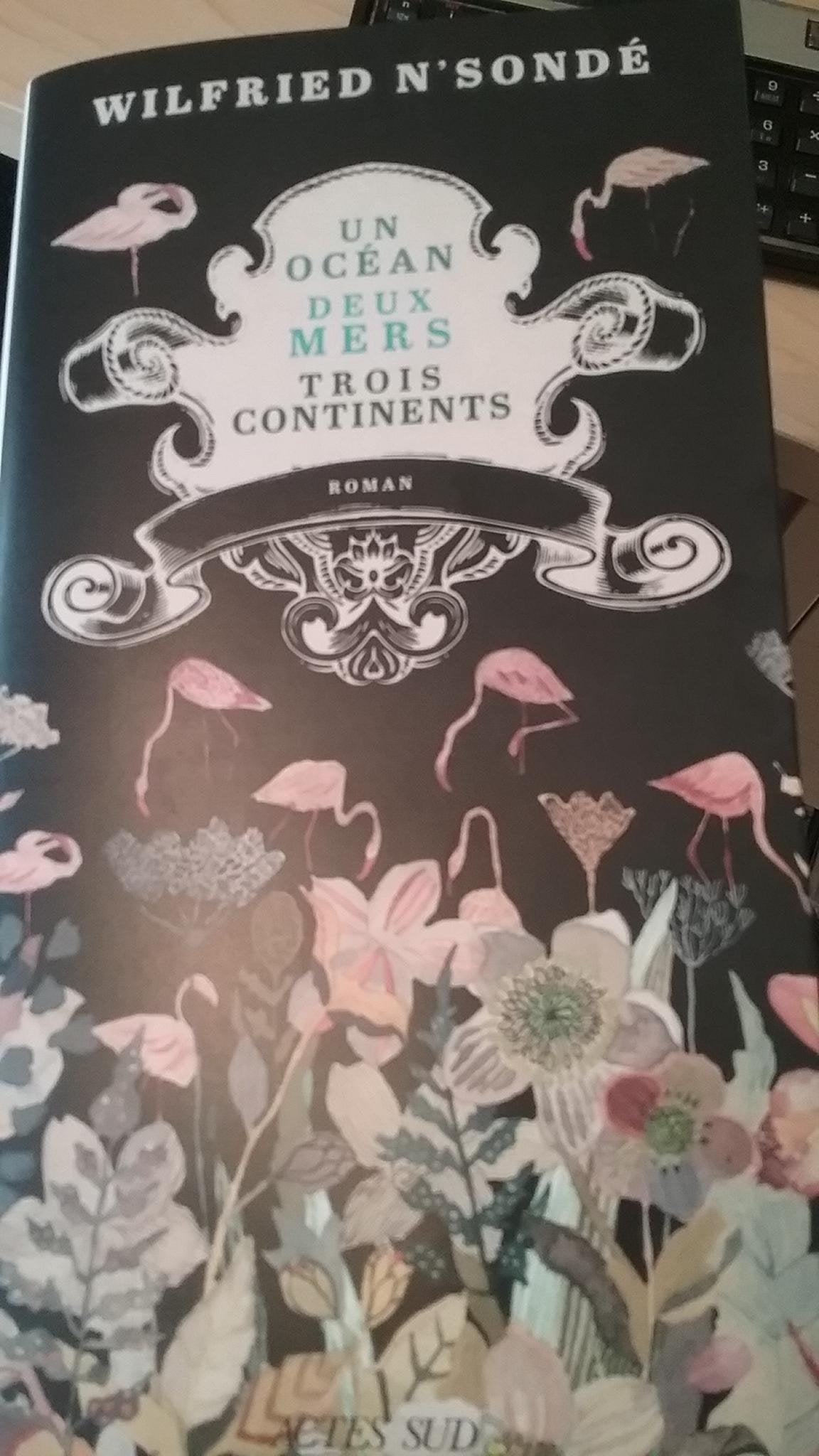 Un océan, deux mers, trois continents 9782330090524