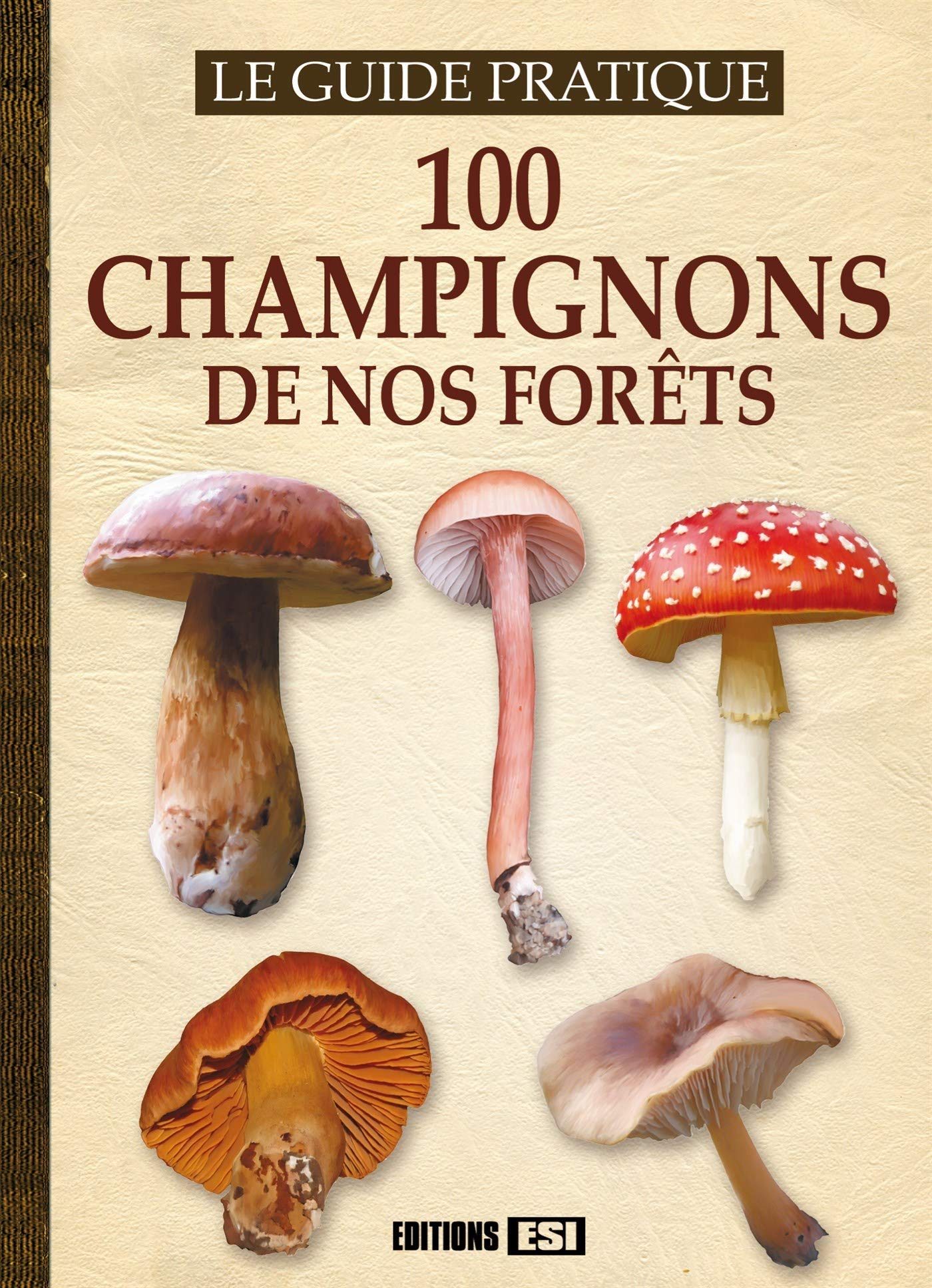 100 CHAMPIGNONS DE NOS FORETS (0) 9782822603850