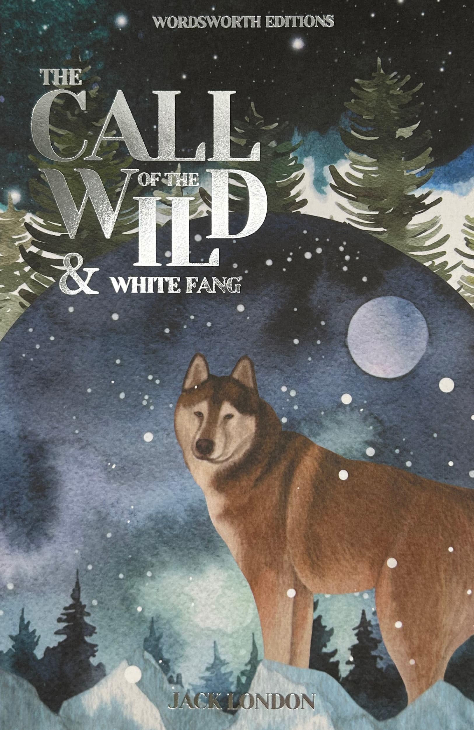 Call of the Wild White Fang 9781853260261