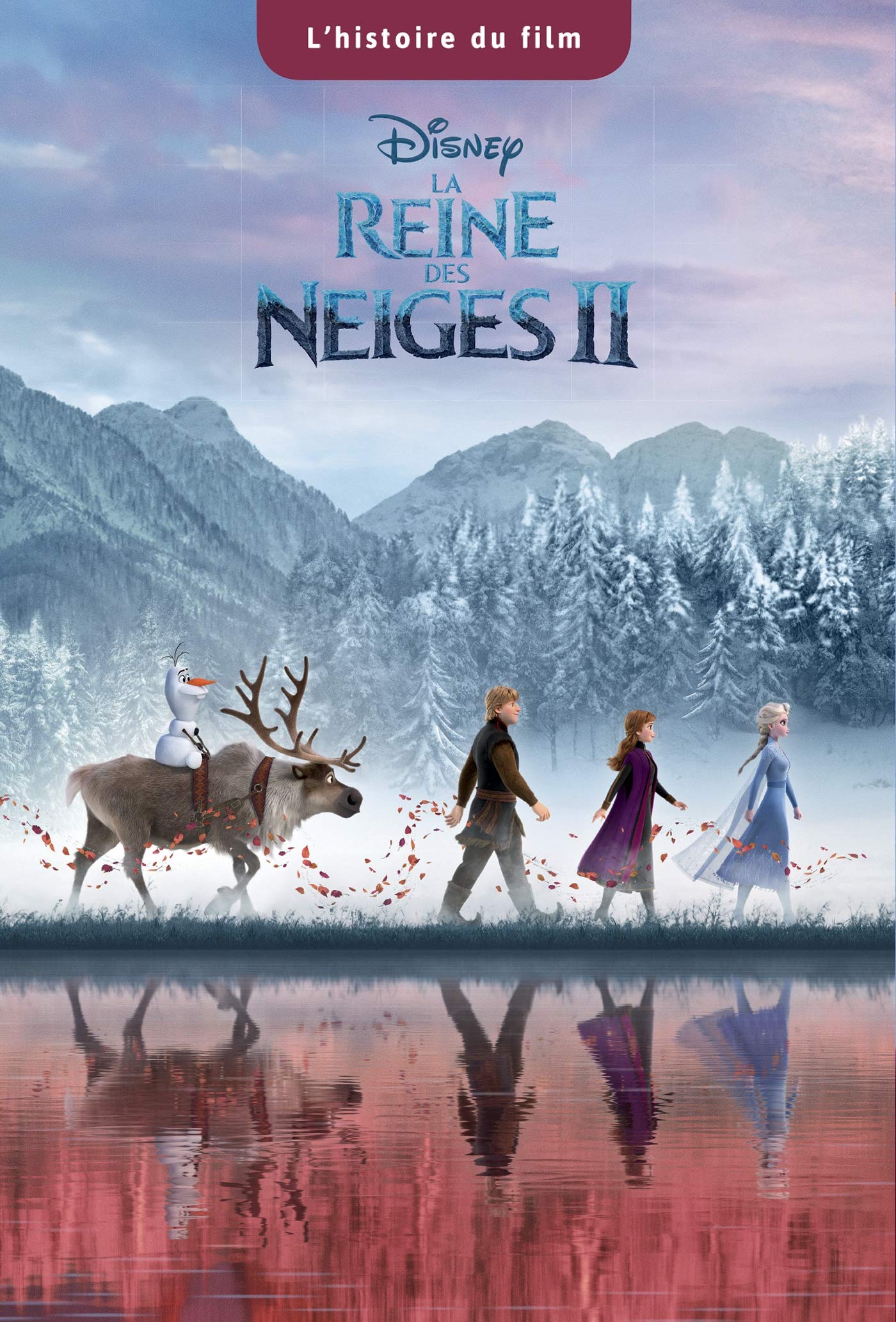 LA REINE DES NEIGES 2 - L'histoire du Film - Disney 9782017094791