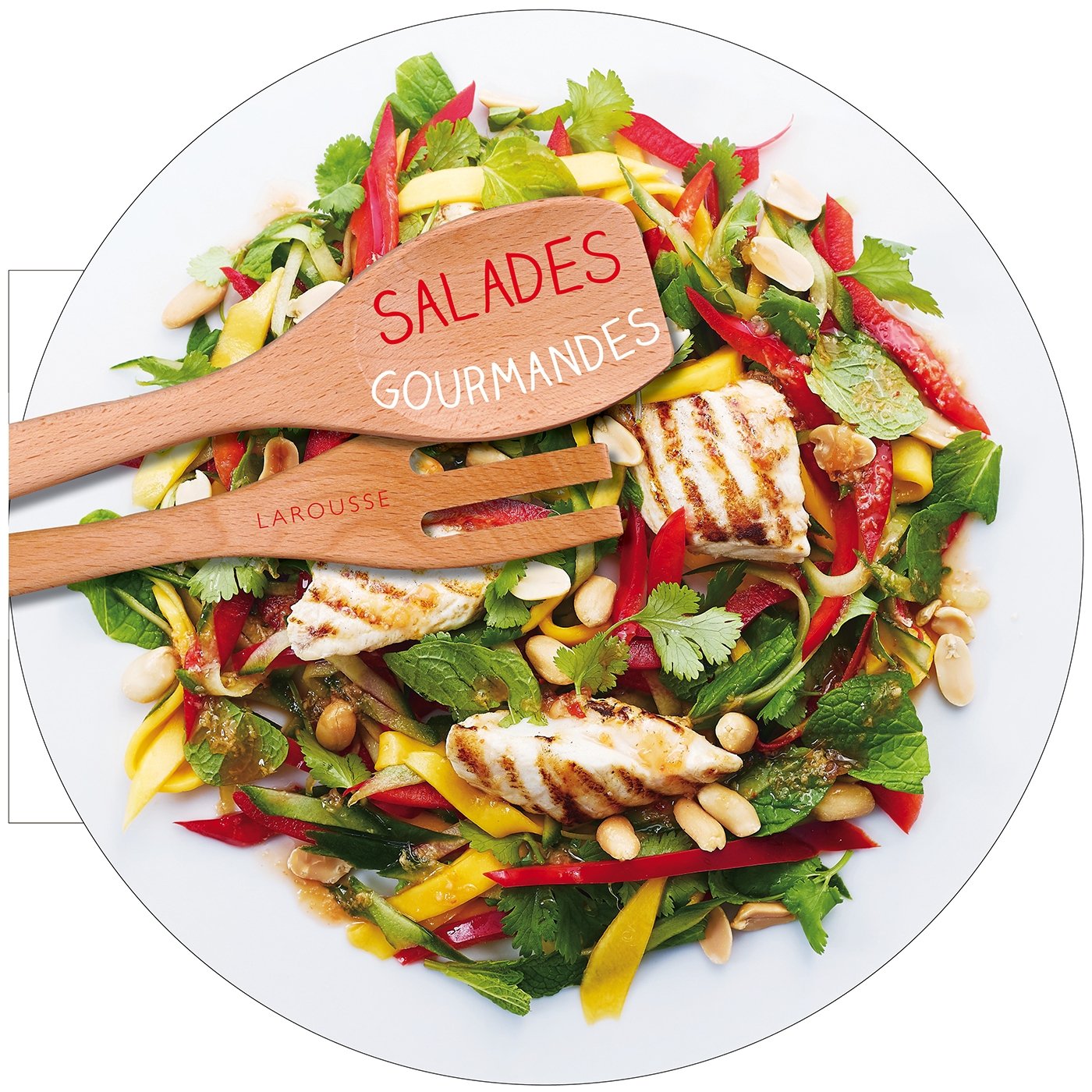 Salades gourmandes 9782035897671