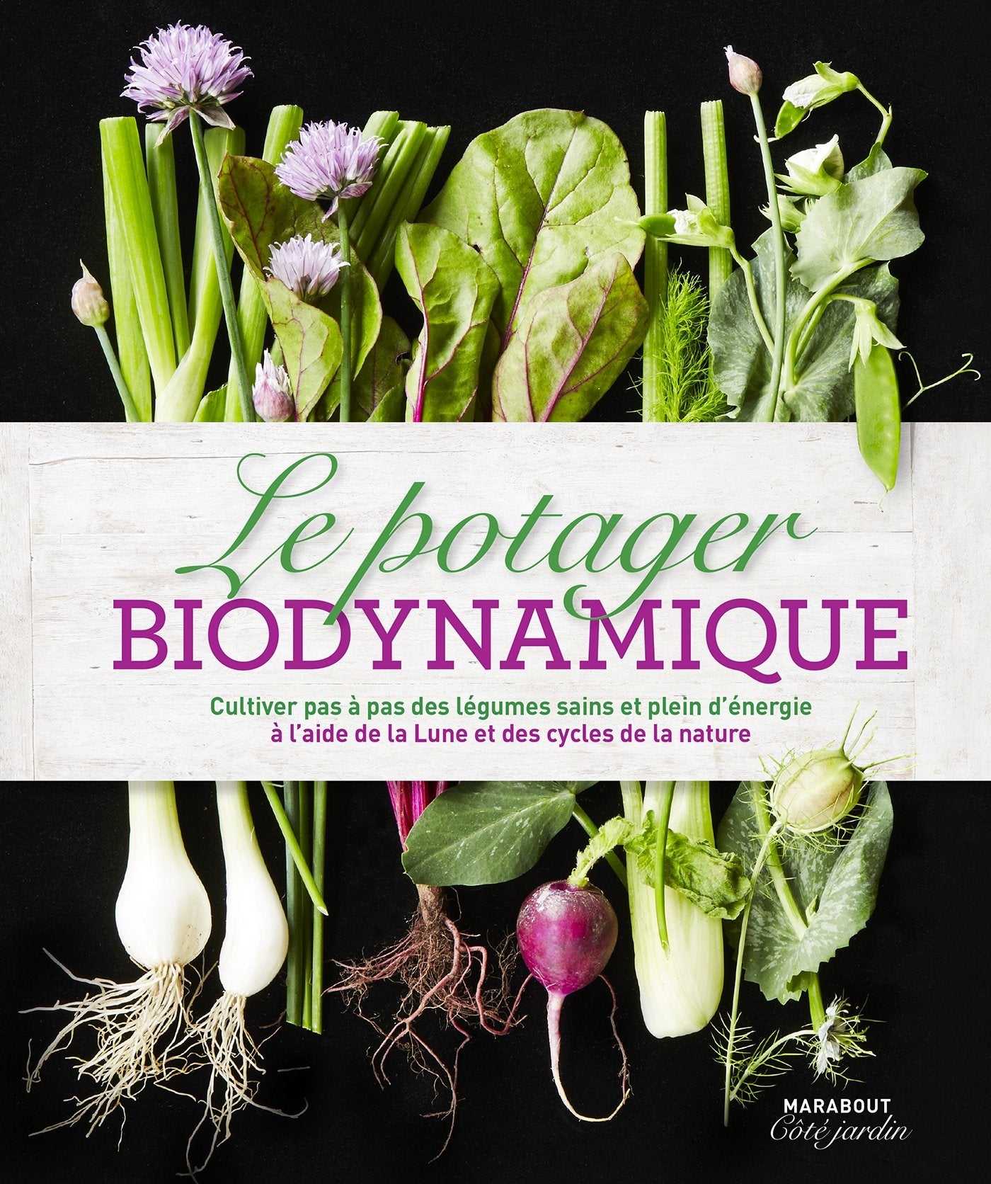 Le potager biodynamique 9782501104210