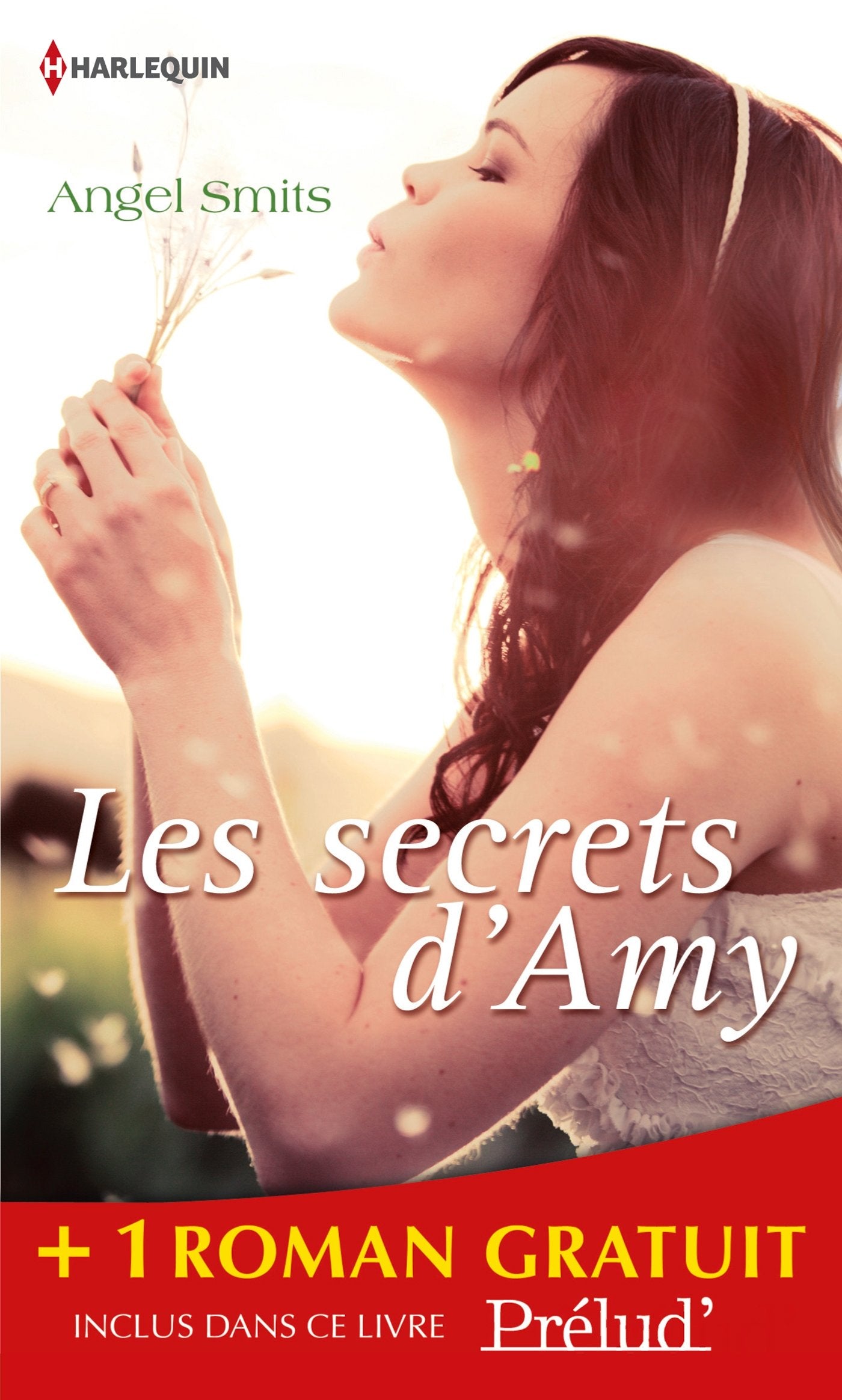 Les secrets d'Amy ; Les lumières de Noël 9782280283922