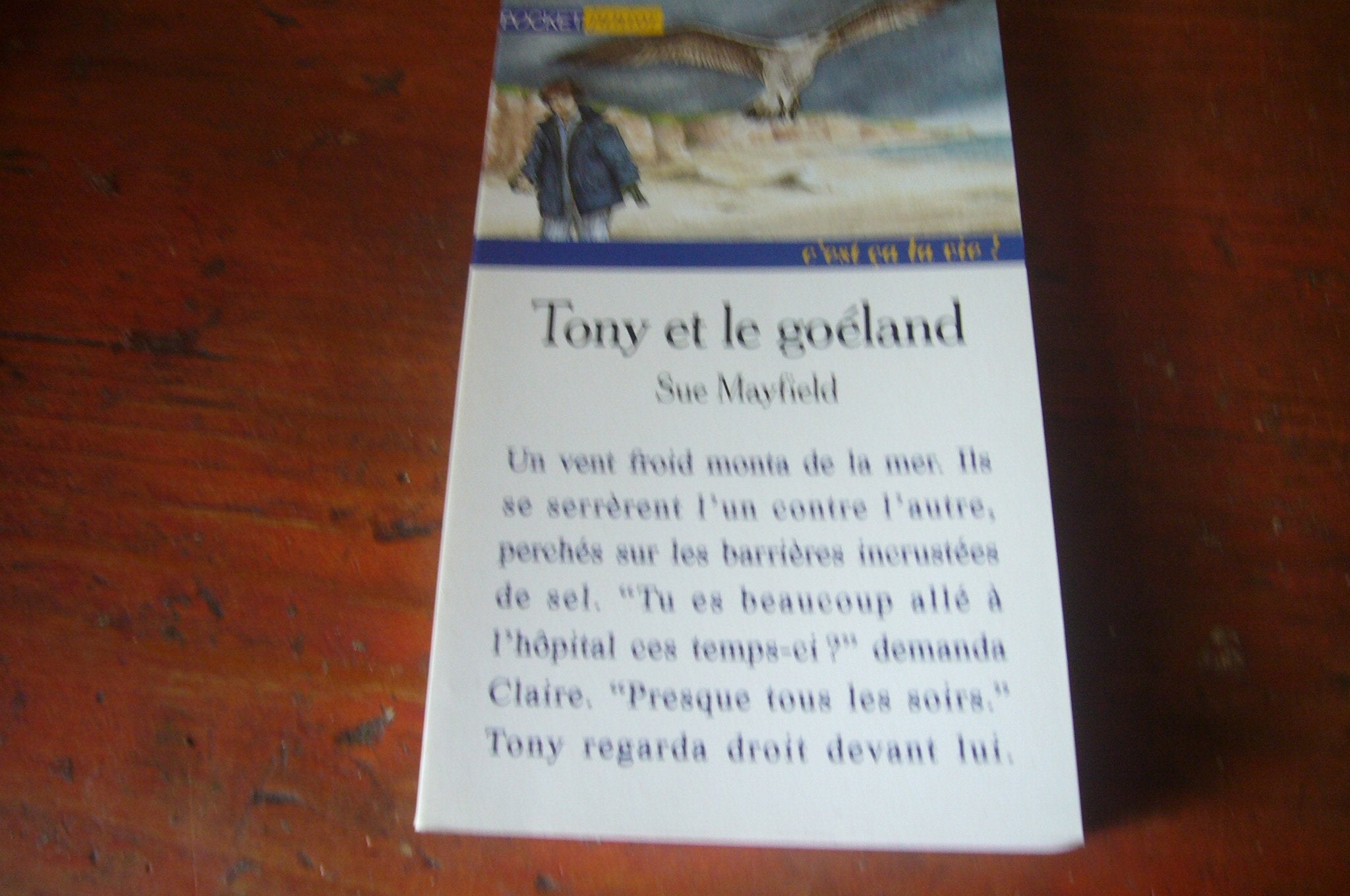 Tony et le goéland 9782266058506