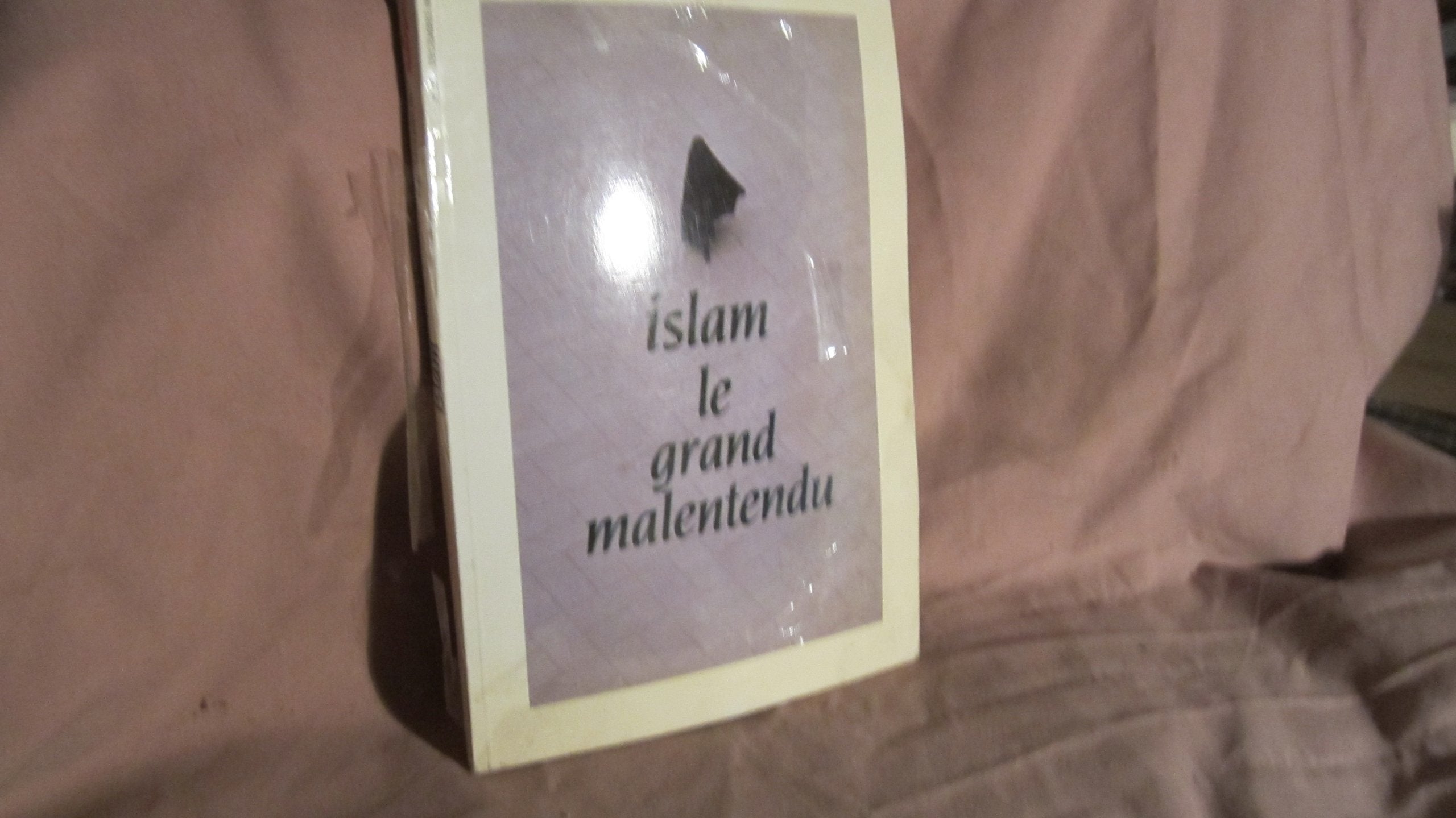 Islam. Le grand malentendu 9782862602226