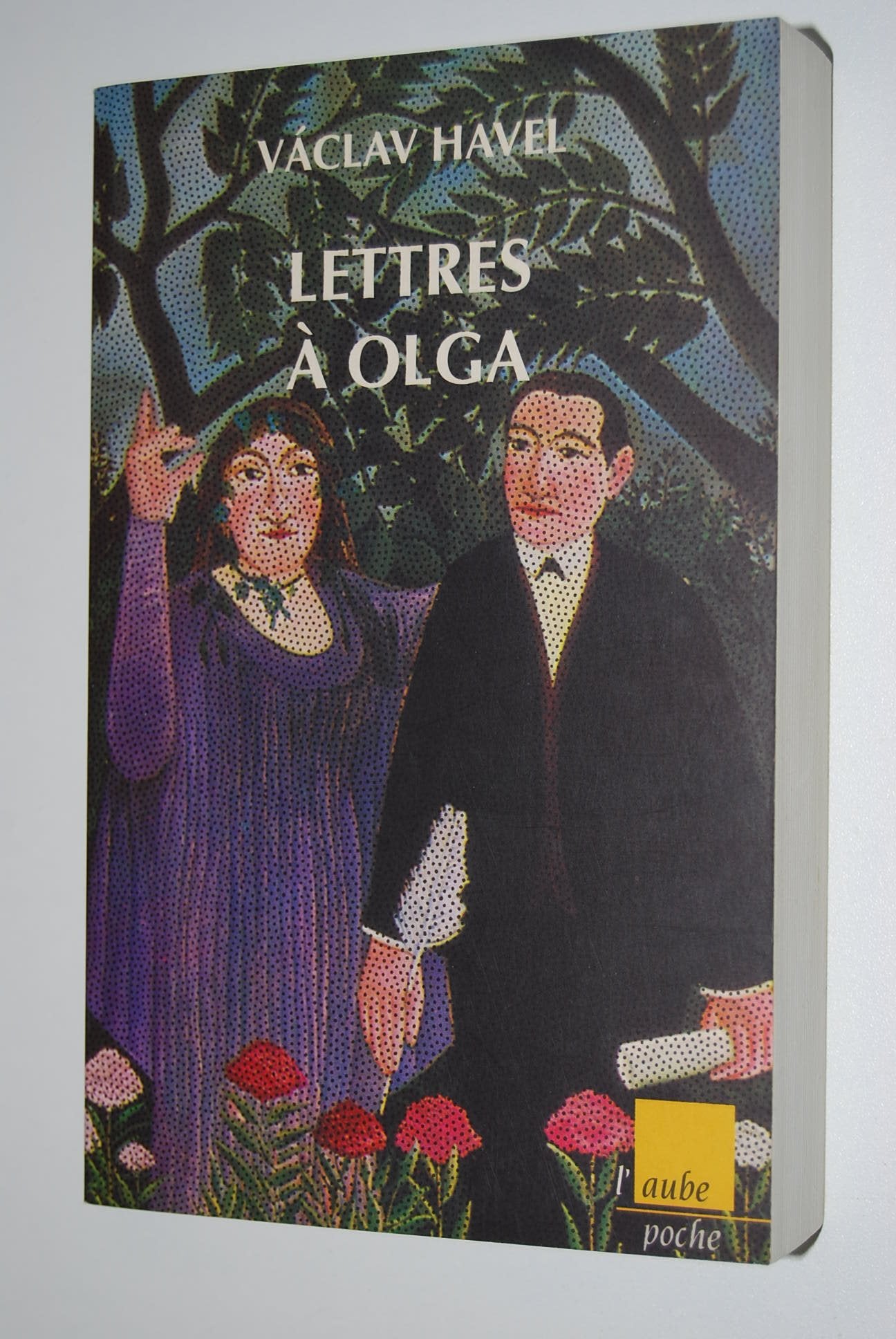 Lettres à Olga 9782876782044