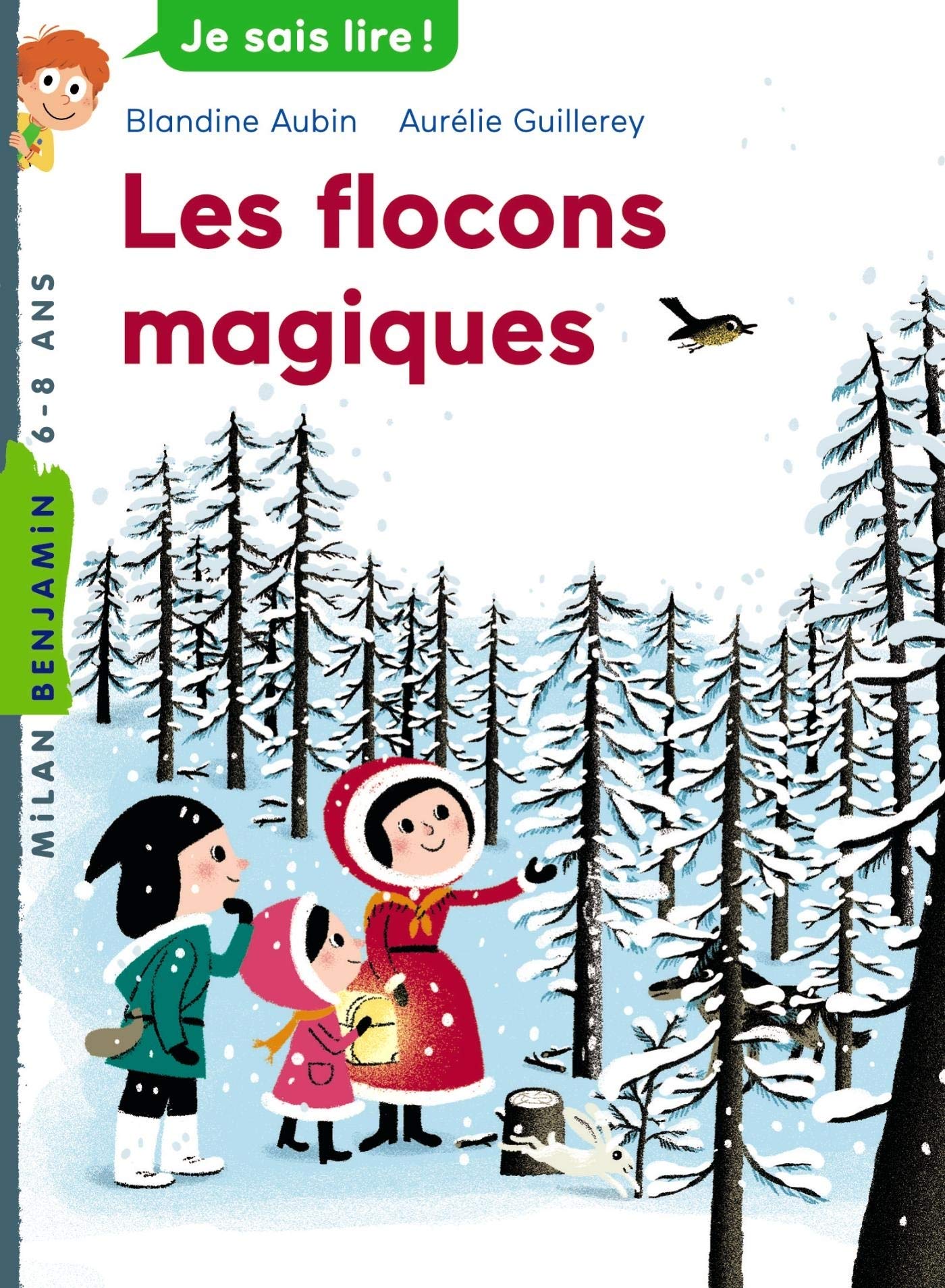 Les flocons magiques 9782745957320