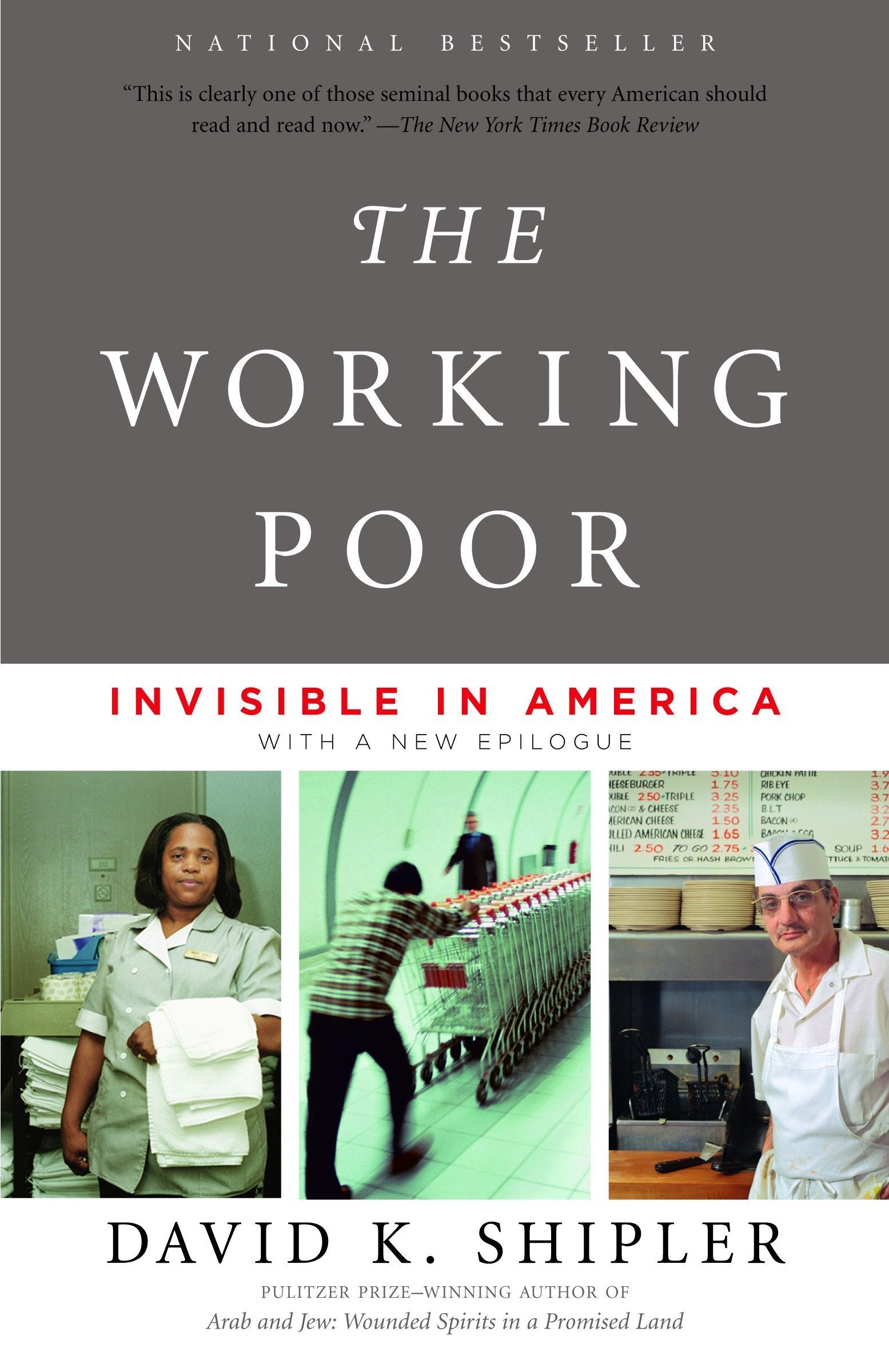 The Working Poor: Invisible in America 9780375708213