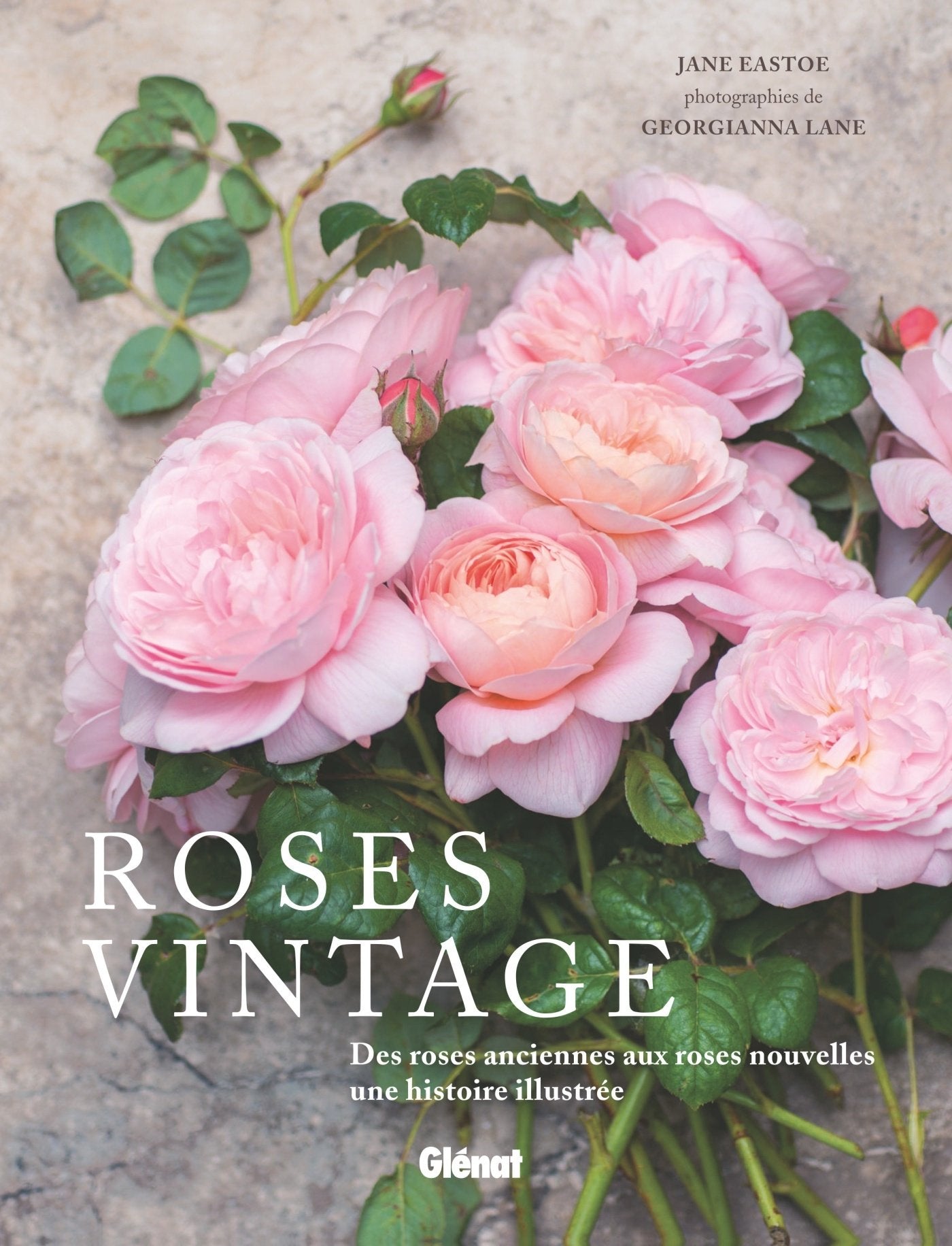 Roses vintage: Des roses anciennes aux roses nouvelles : une histoire illustrée 9782344024379