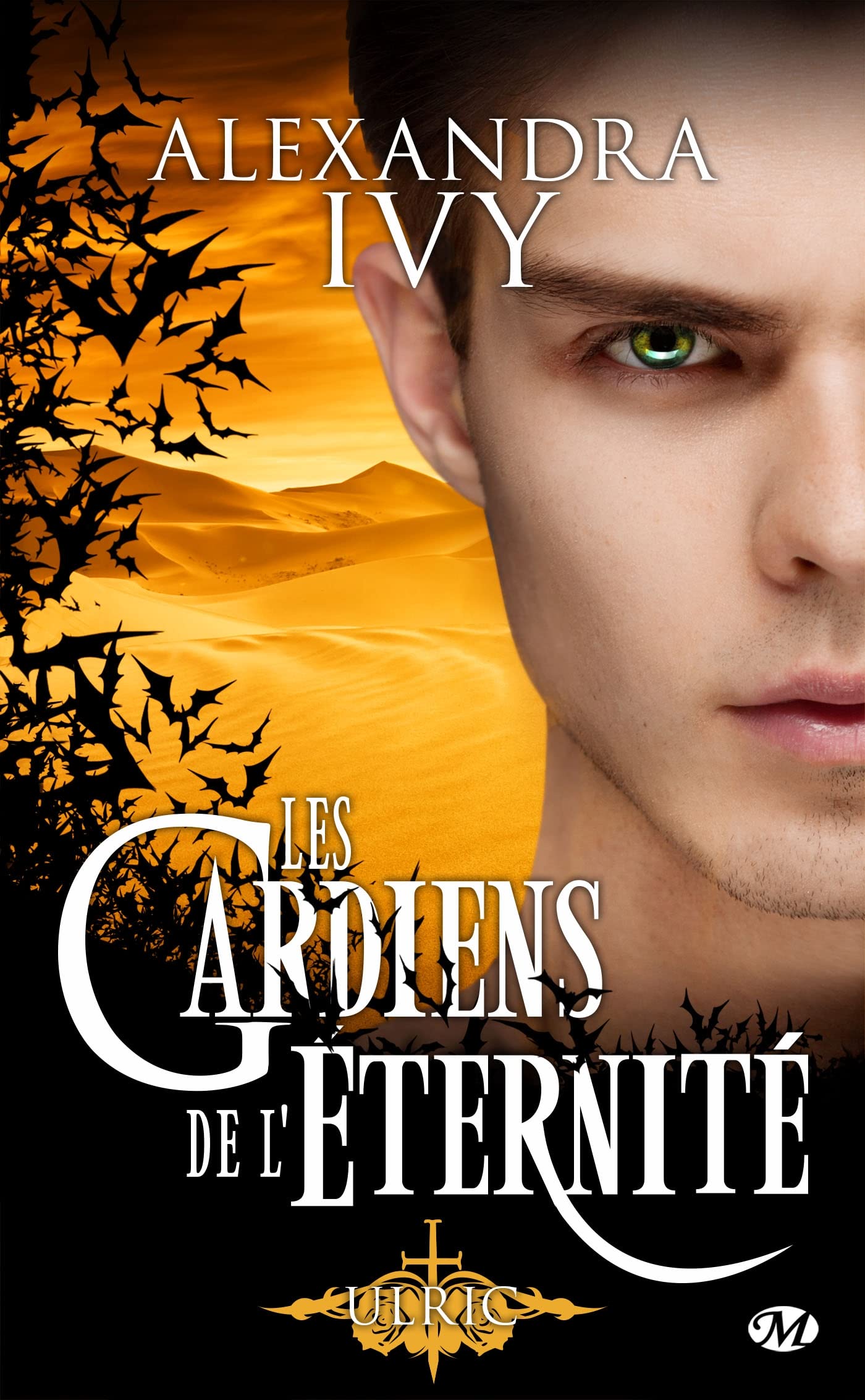 Les Gardiens de l'éternité, T15 : Ulric 9782811238667