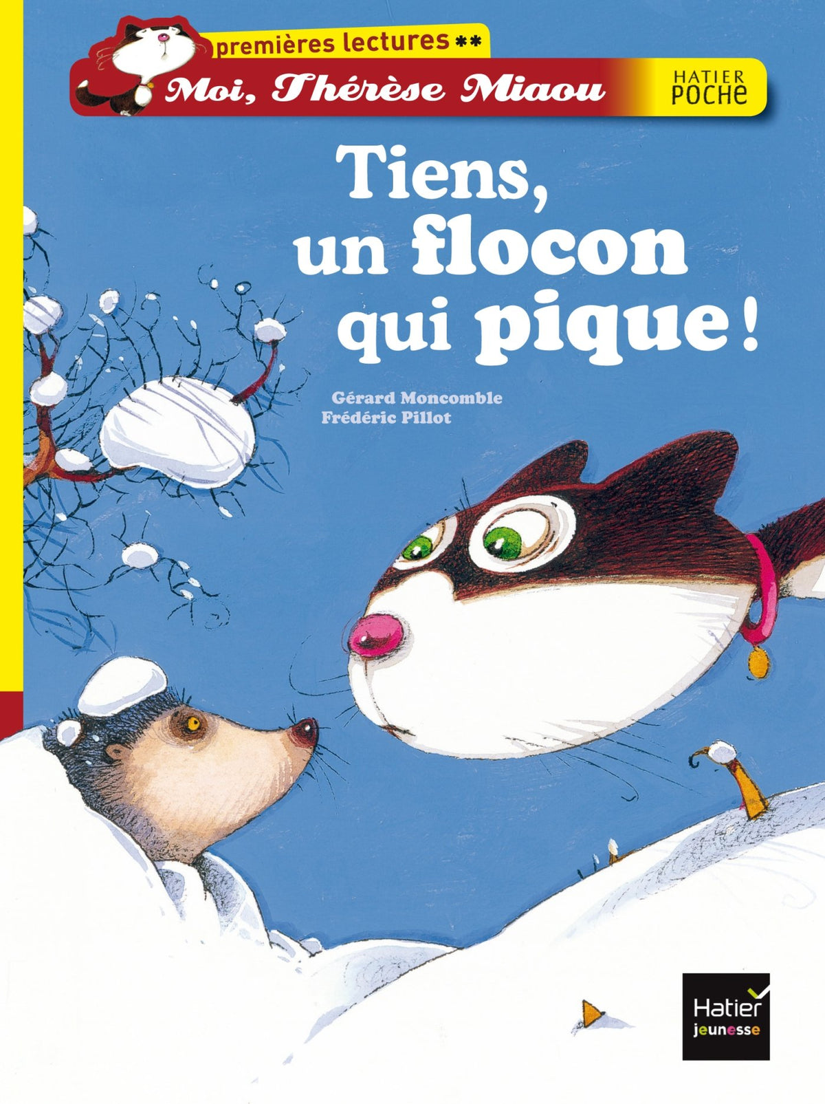 Tiens, un flocon qui pique ! 9782218969775