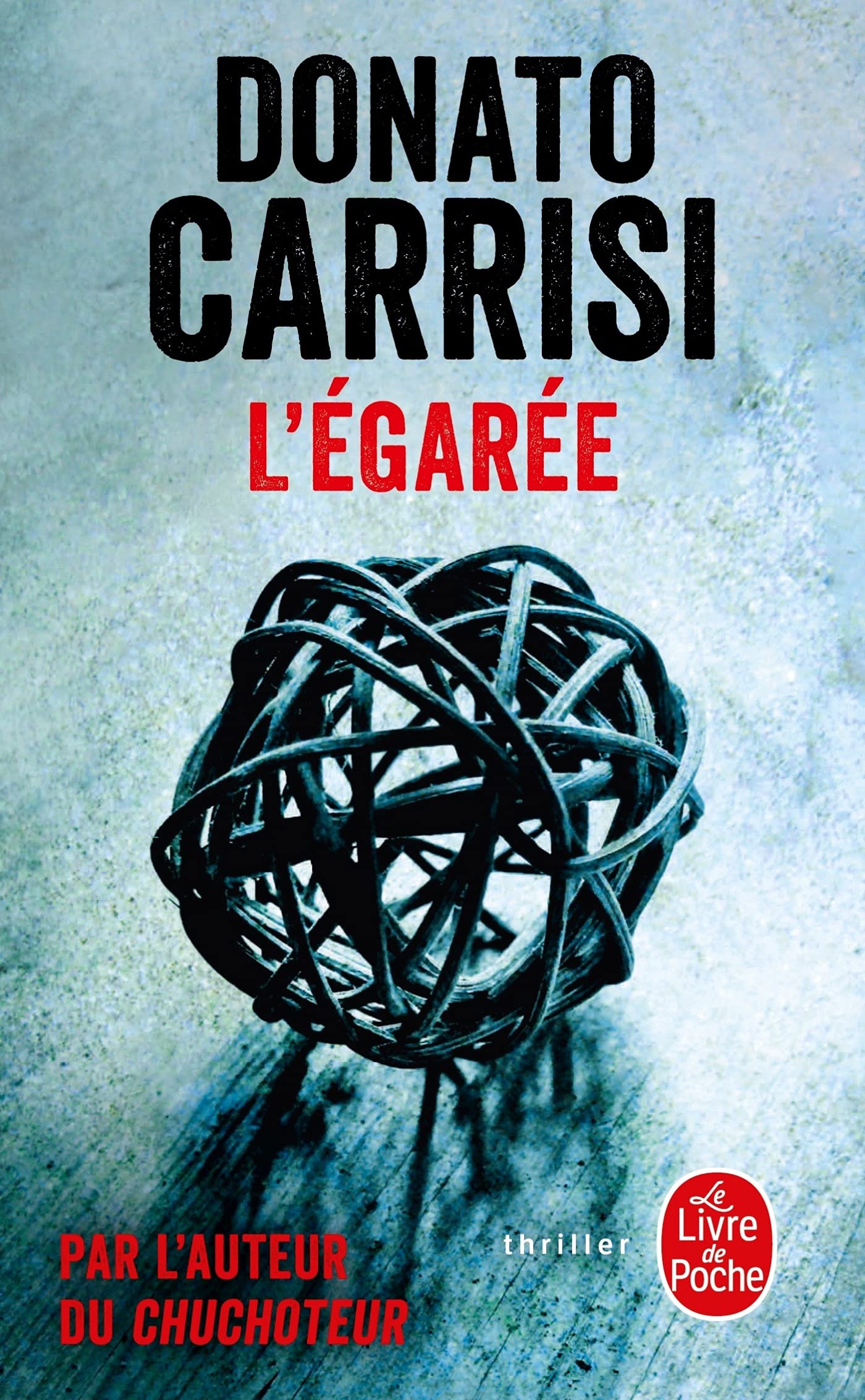 L'Egarée 9782253259916