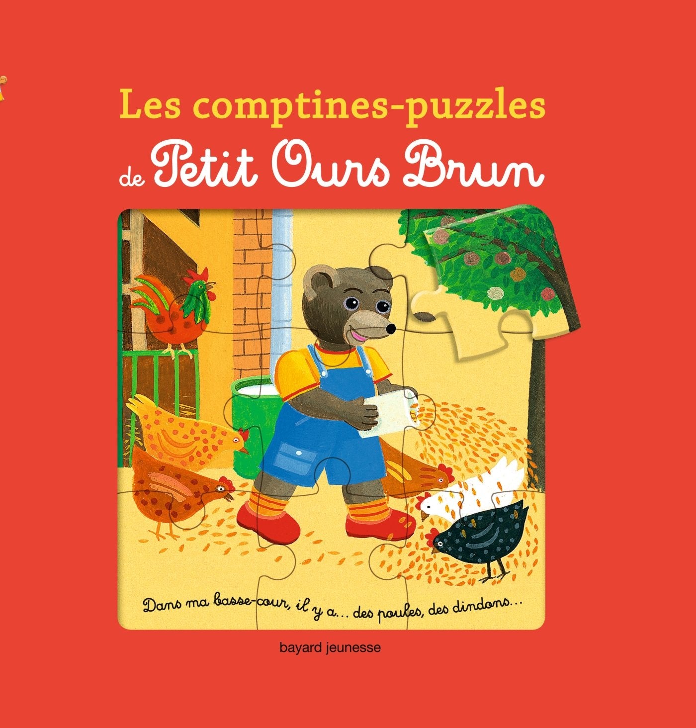 Livre puzzle pob 9782747062312