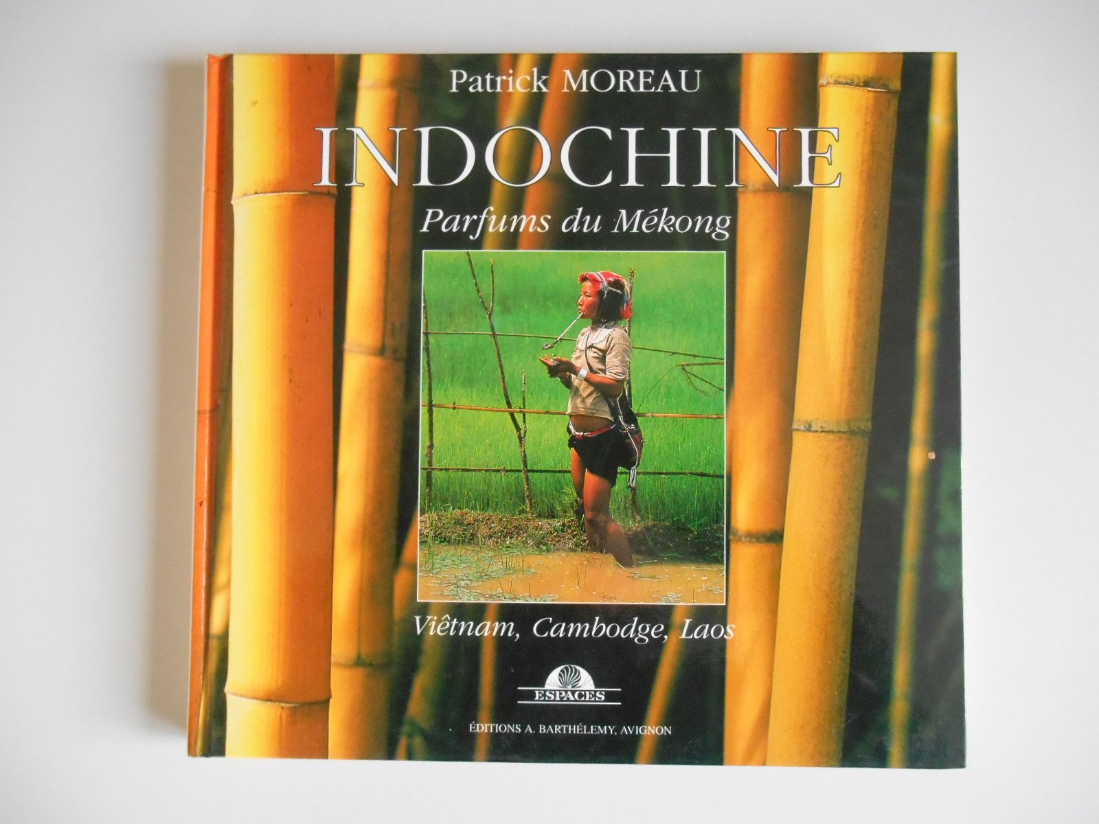 Indochine - parfums du Mékong 9782879230535