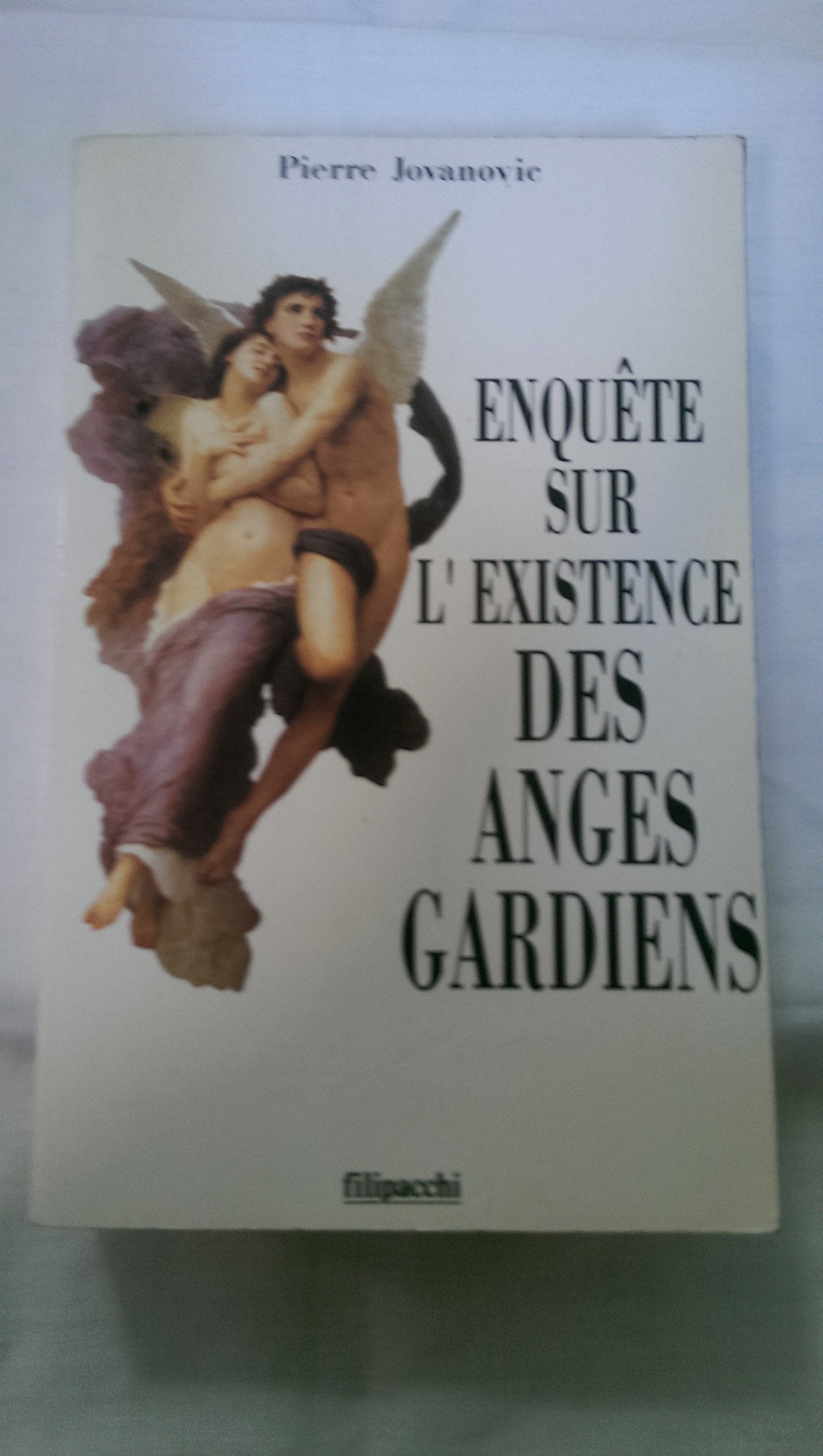 Enquête sur l'existence des anges gardiens 9782850182457