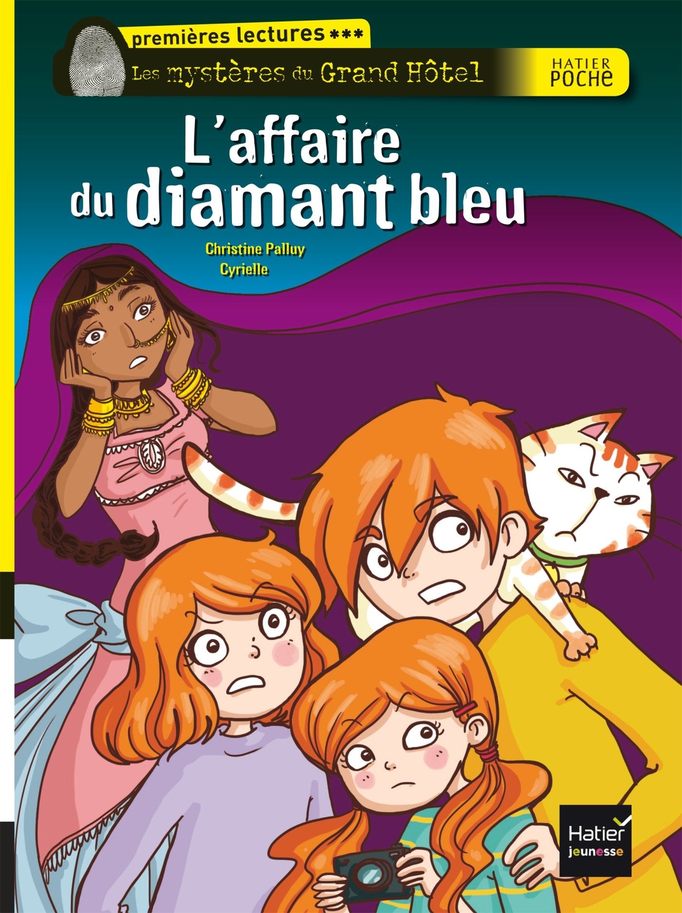 L'affaire du diamant bleu 9782218996207