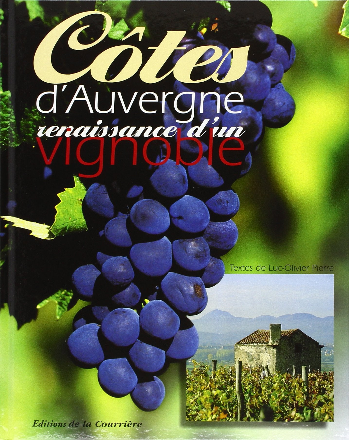 Cotes d'auvergne renaissance d'un vignoble 9782912393074