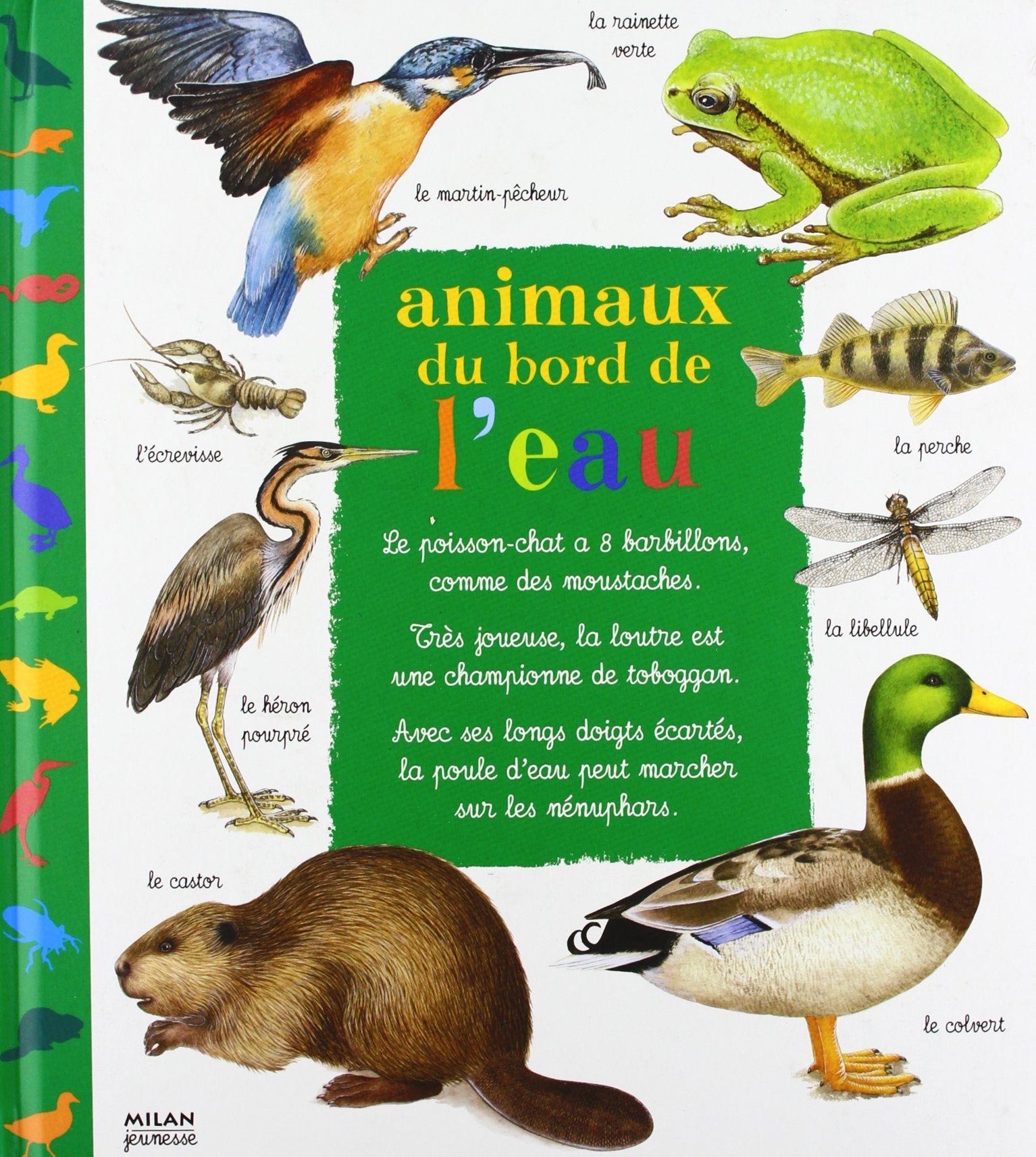 Animaux du bord de l'eau 9782745904614