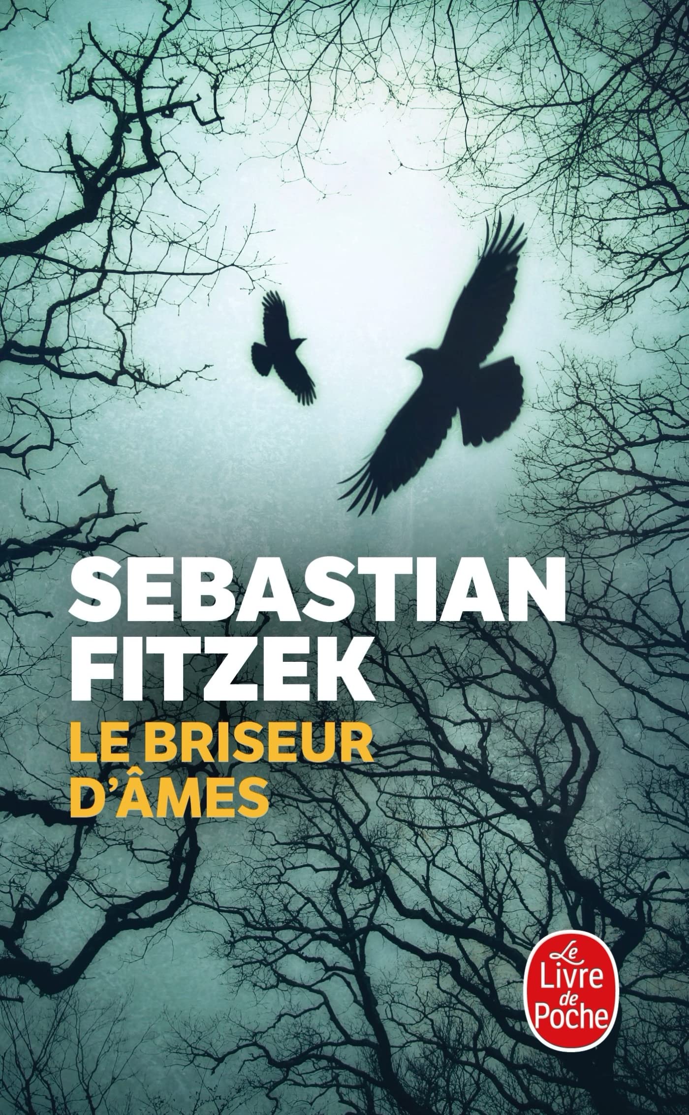 Le Briseur d'âmes 9782253173717
