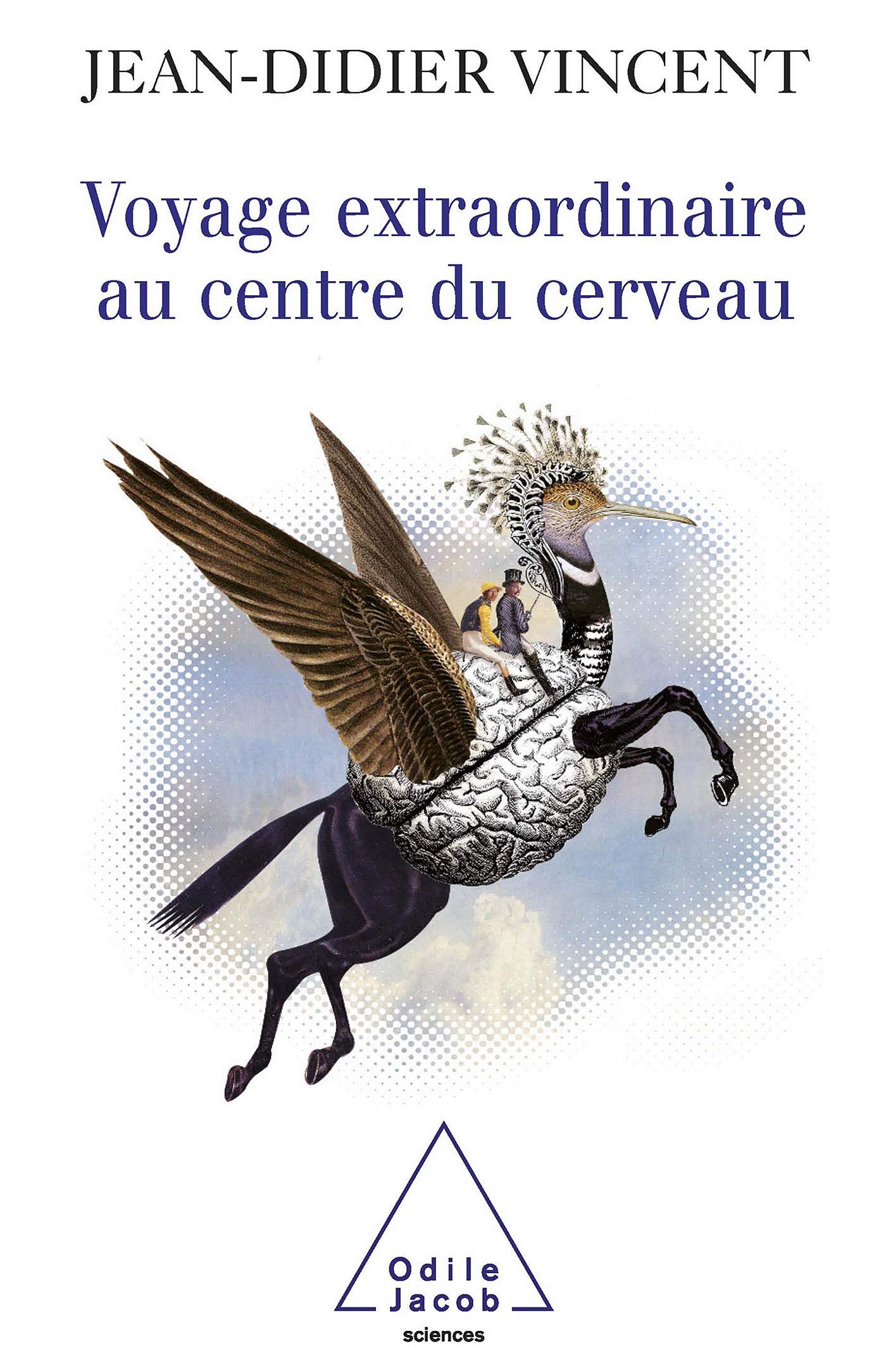 Voyage extraordinaire au centre du cerveau 9789999999991