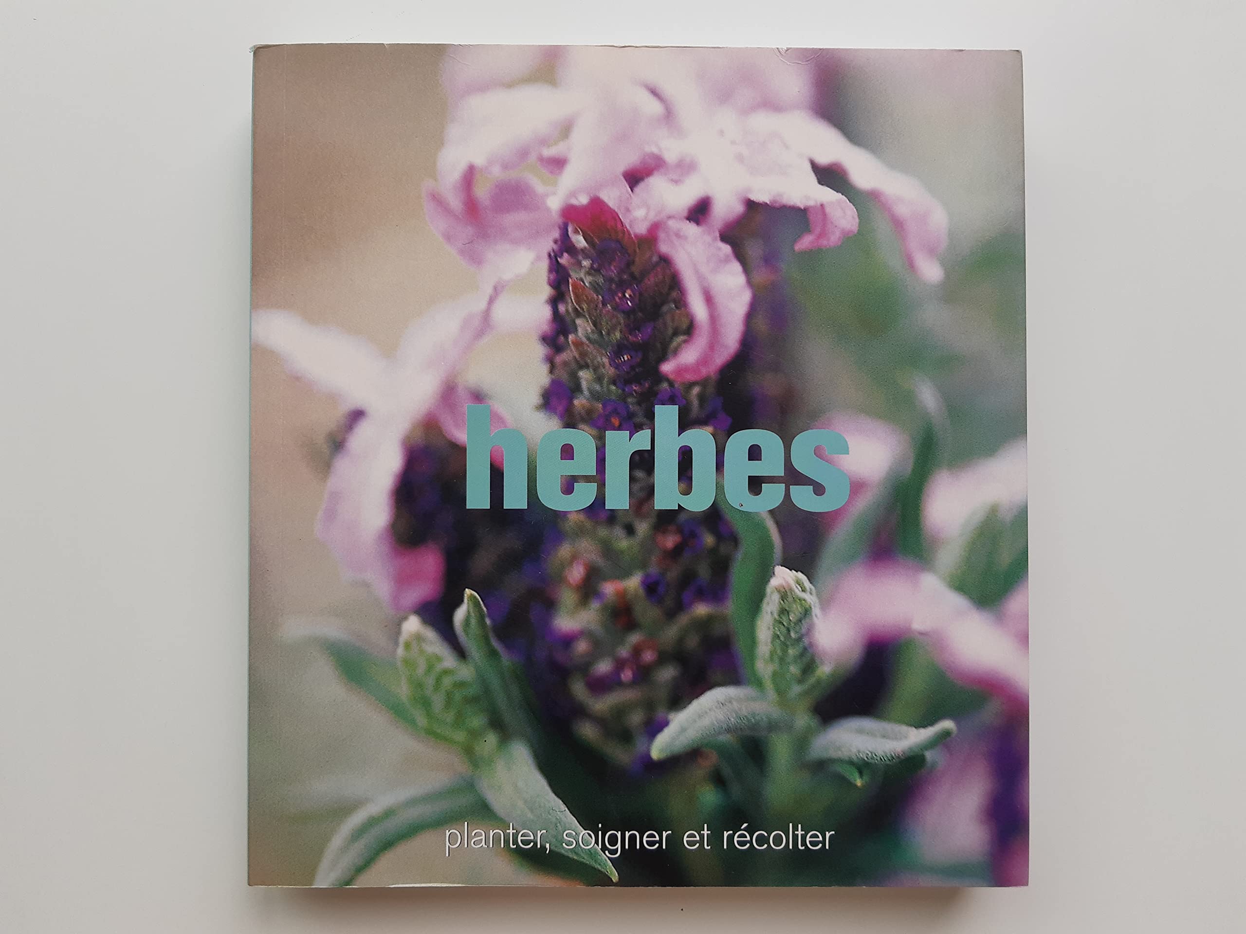 Herbes: Planter, soigner et récolter 9782841982578
