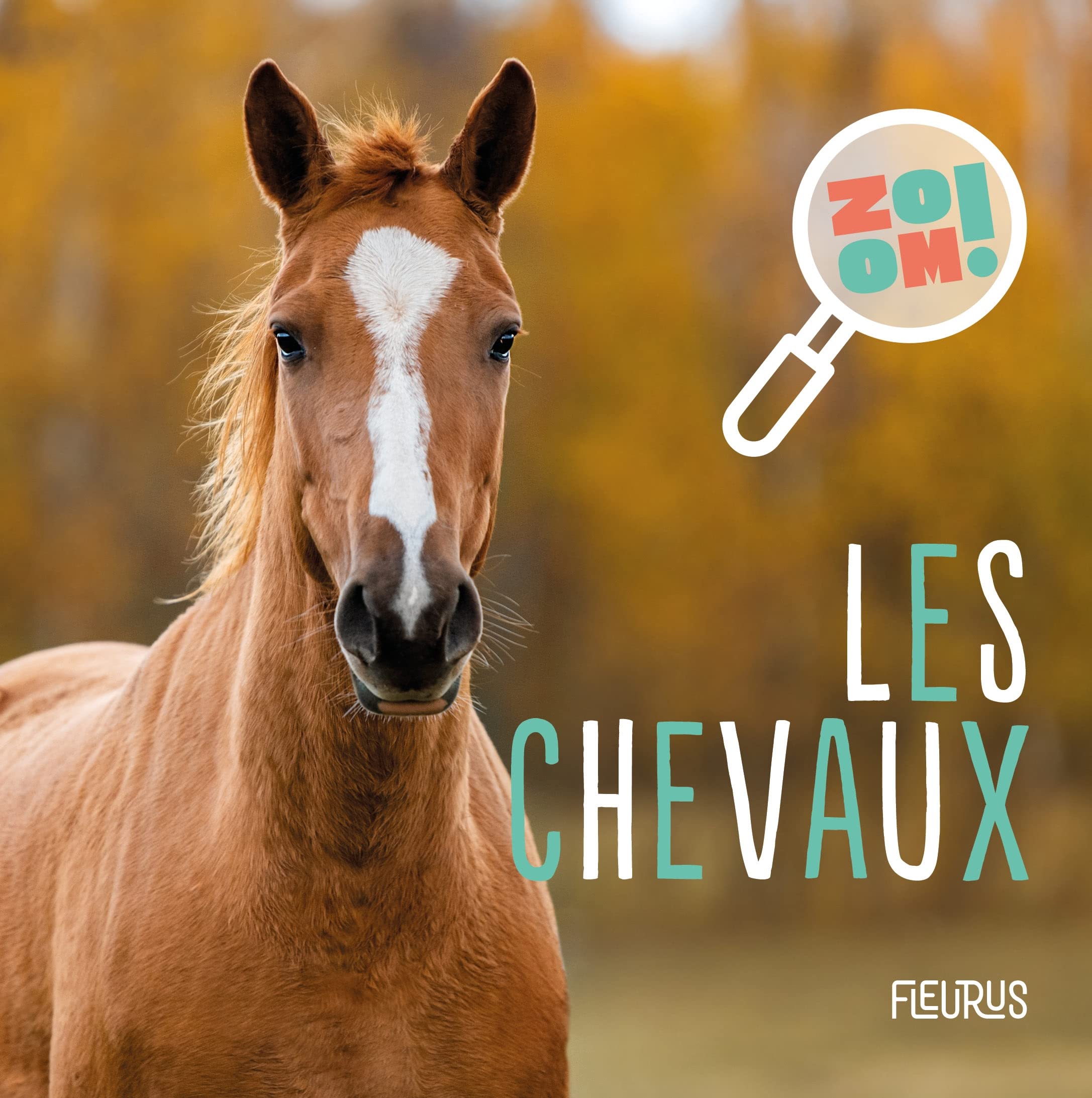 Les chevaux 9782215185345