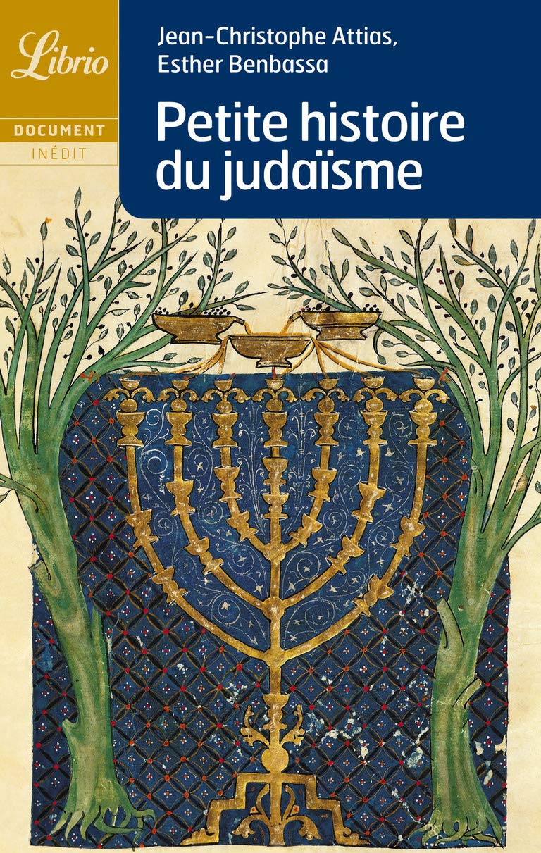 Petite Histoire du judaïsme 9782290002407