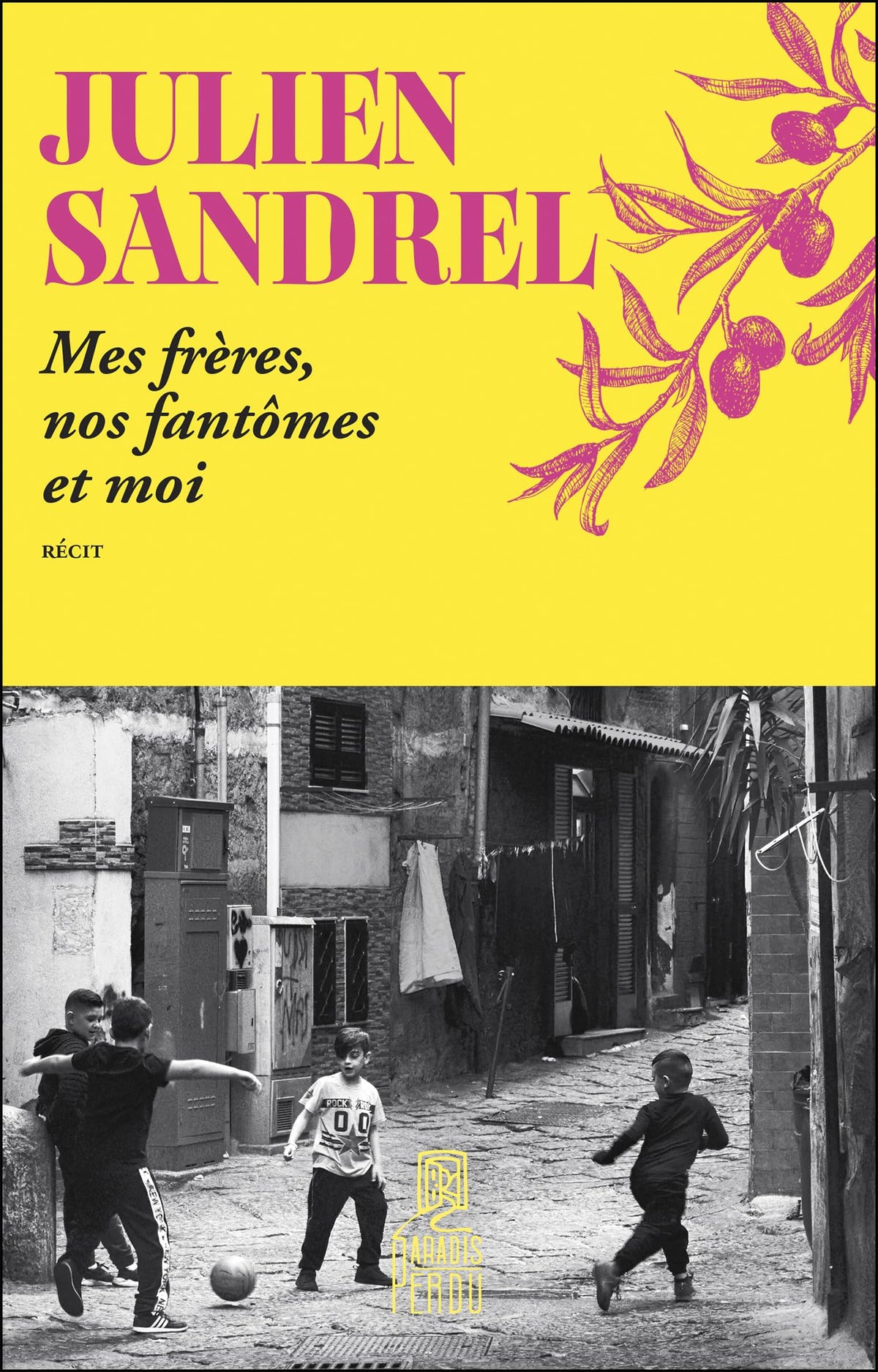 Mes frères, nos fantômes et moi 9782385295011
