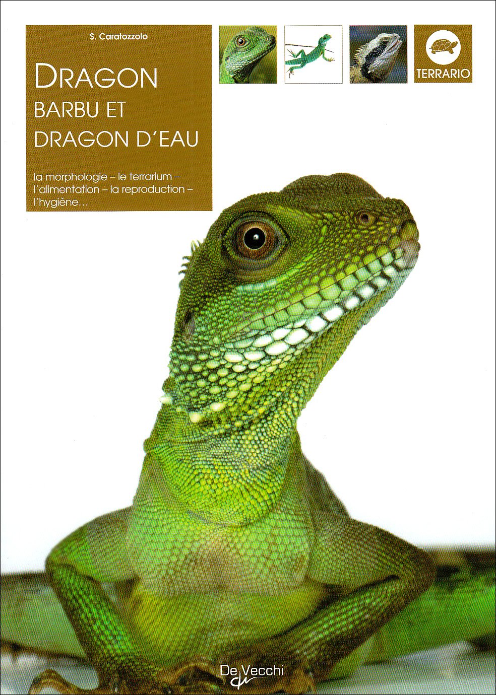 Dragon barbu et dragon d'eau 9782732884400