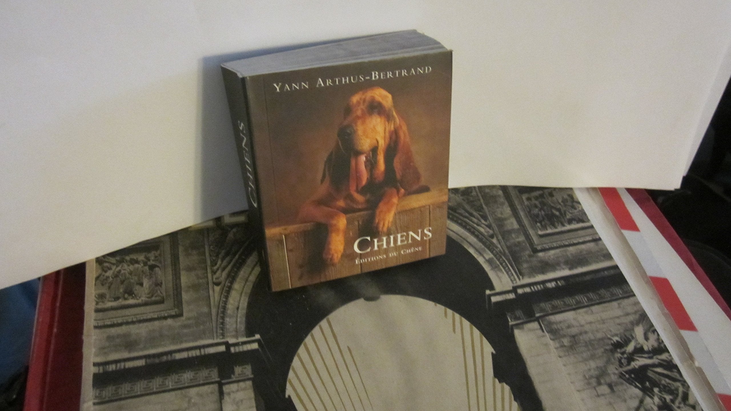 Chiens 9782842771942