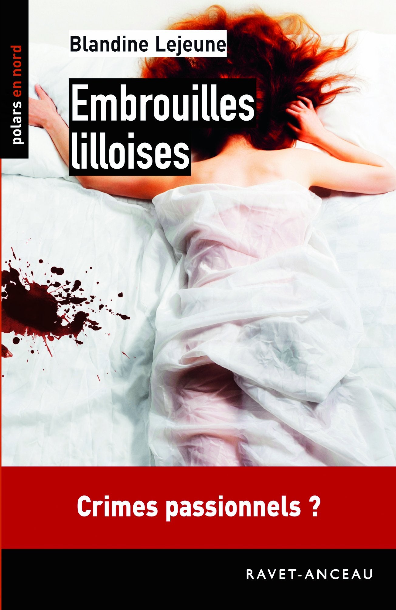 Embrouilles lilloises 9782359732764