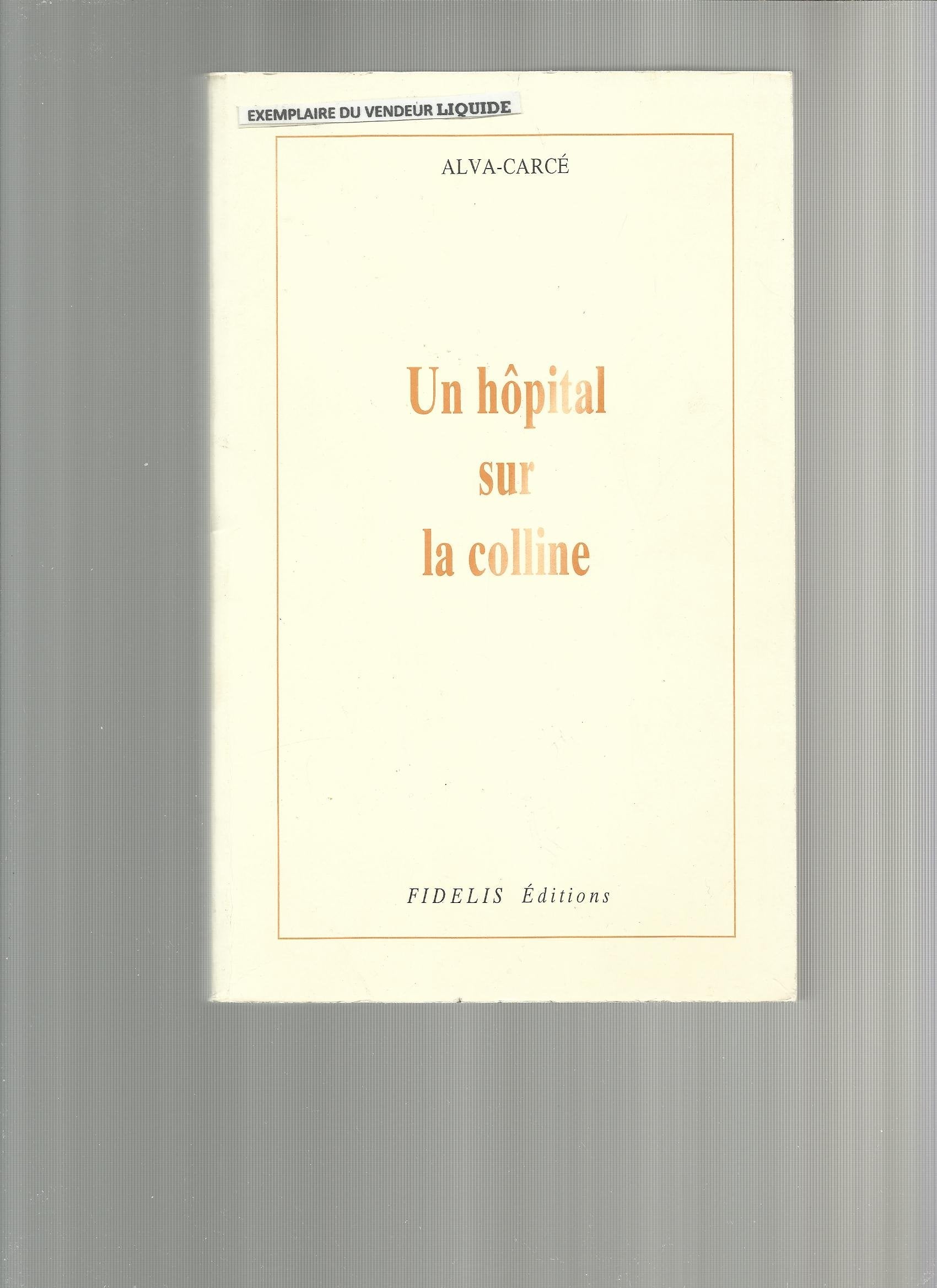 Un hôpital sur la colline 9782911091018