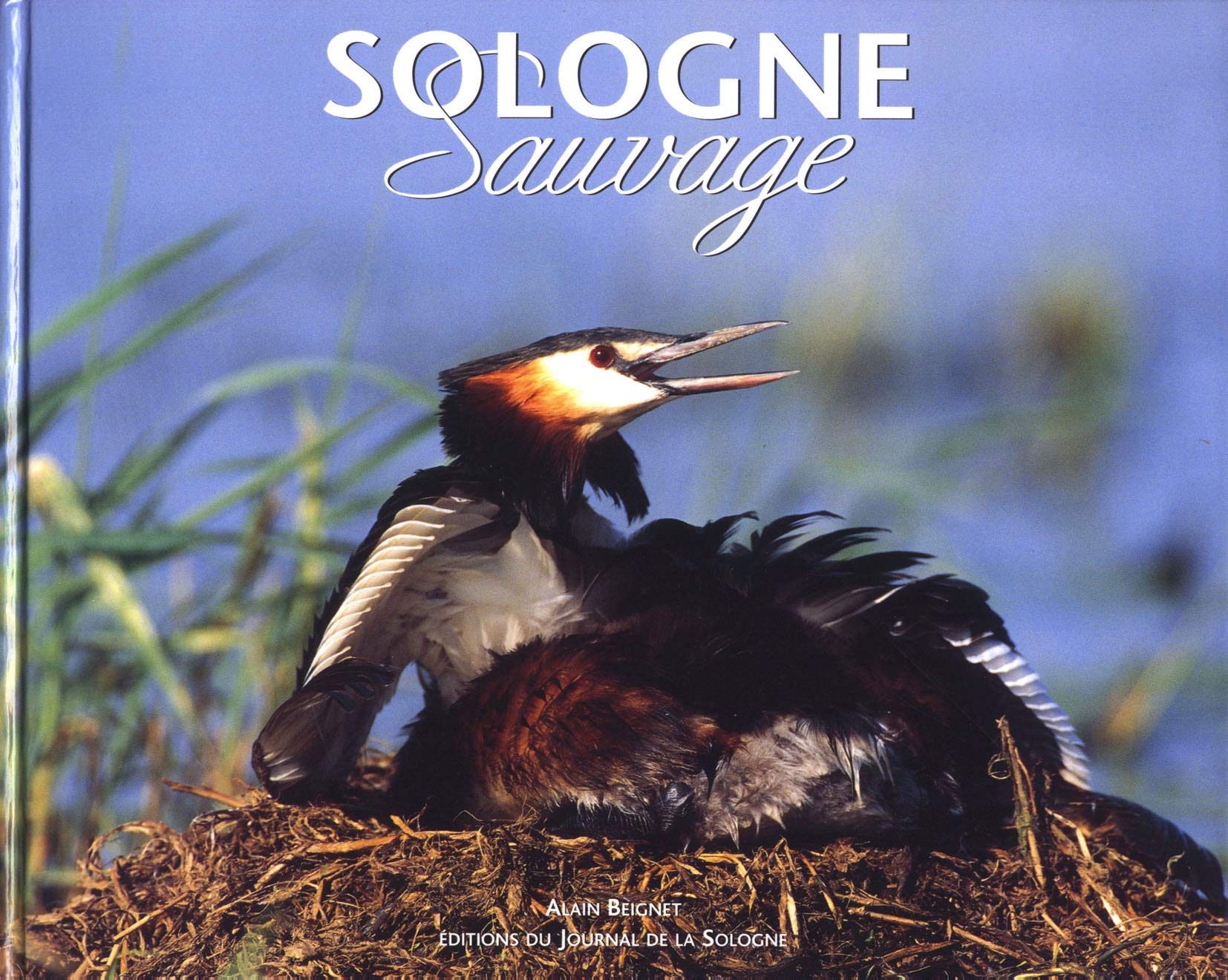 Sologne sauvage 9782915322101