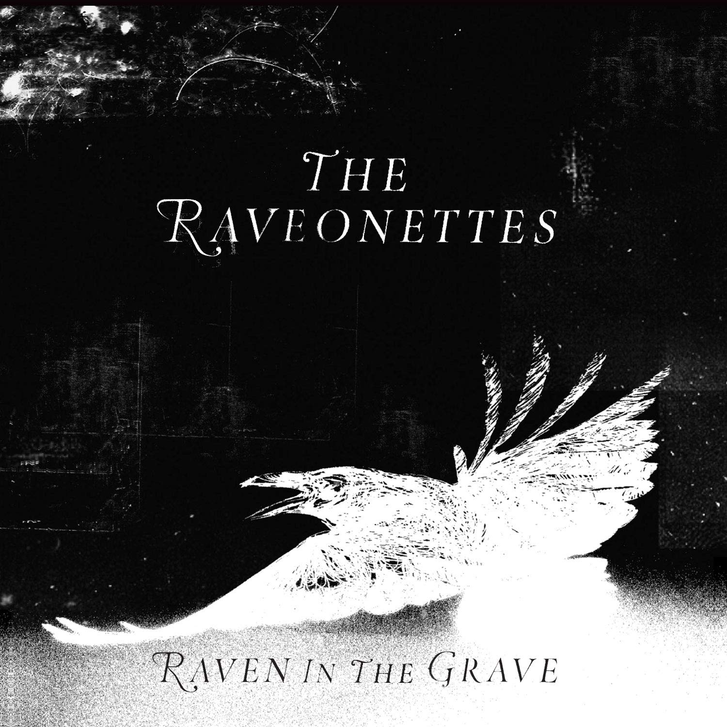 Raven in The Grave [Import] 0885686558317