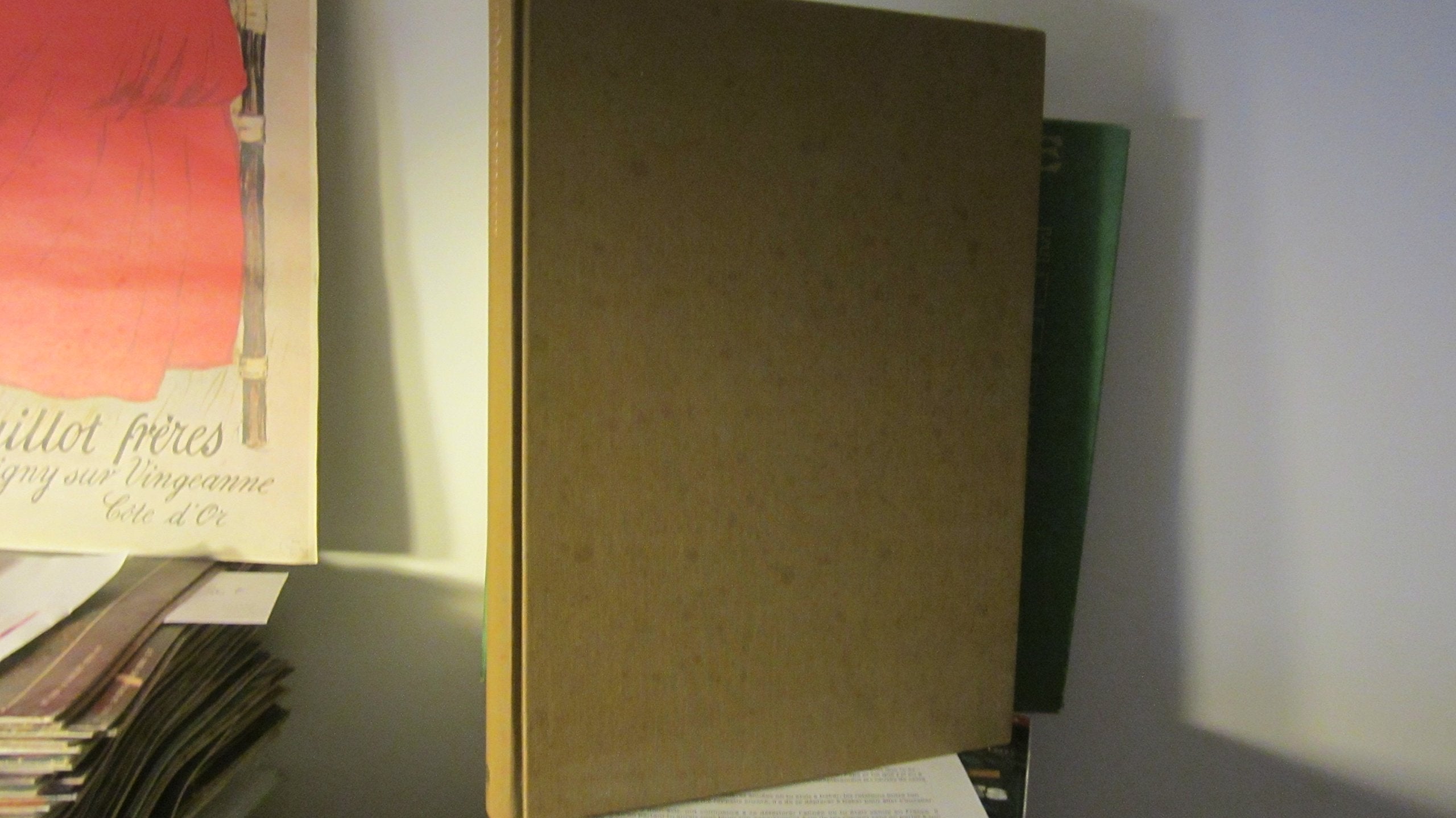 Fastueuse Afrique 9782851083531