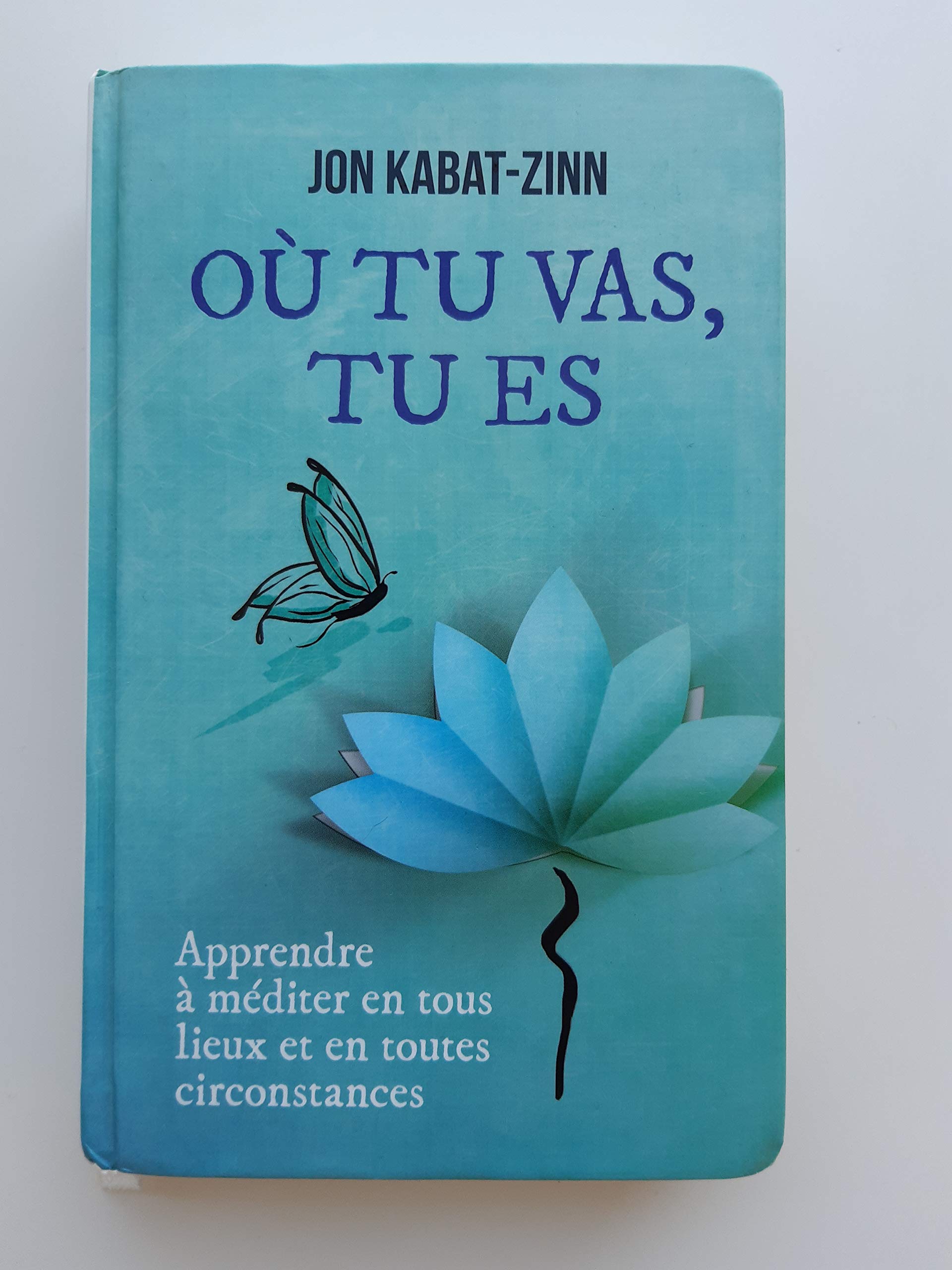 Où tu vas, tu es 9782298073119