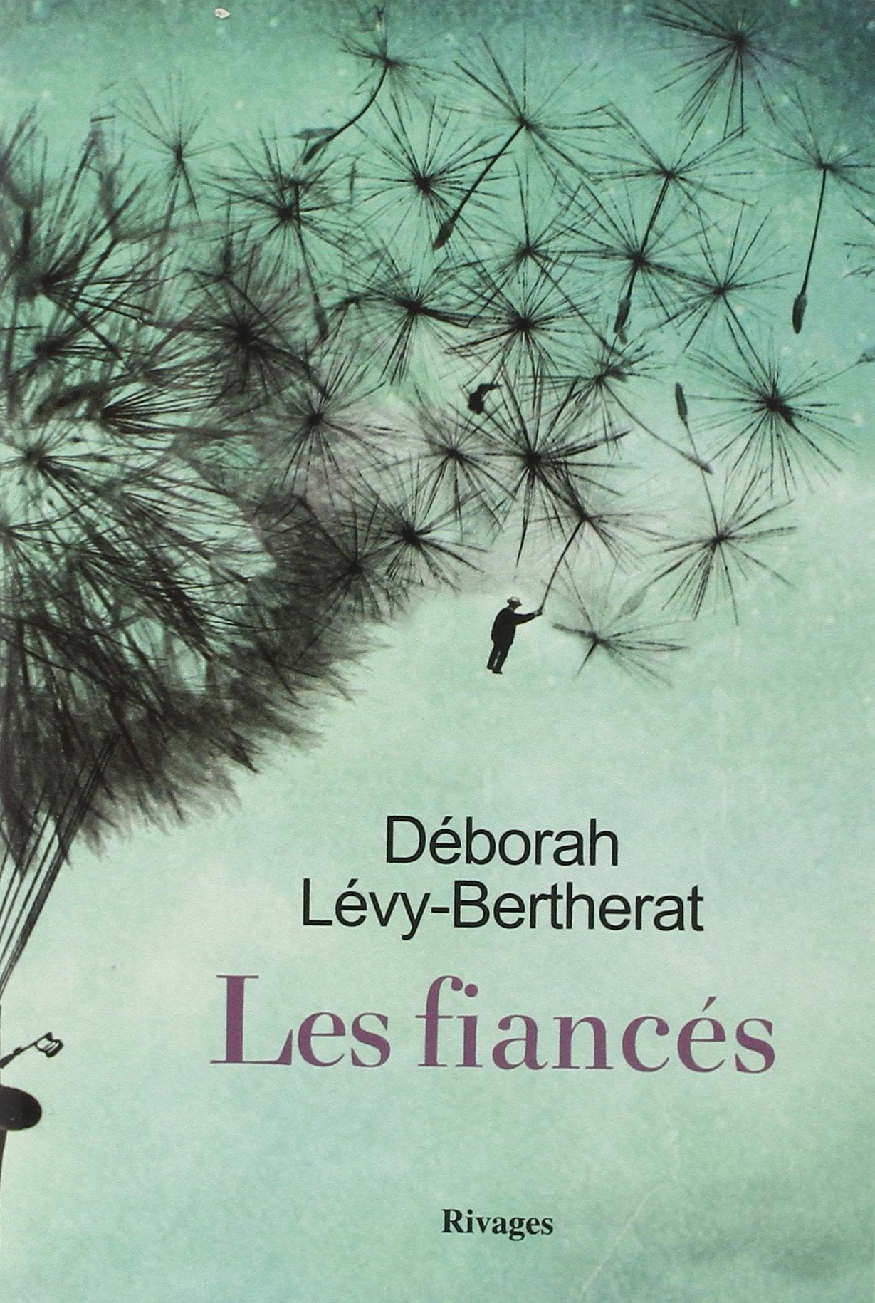 Les fiancés 9782743631765