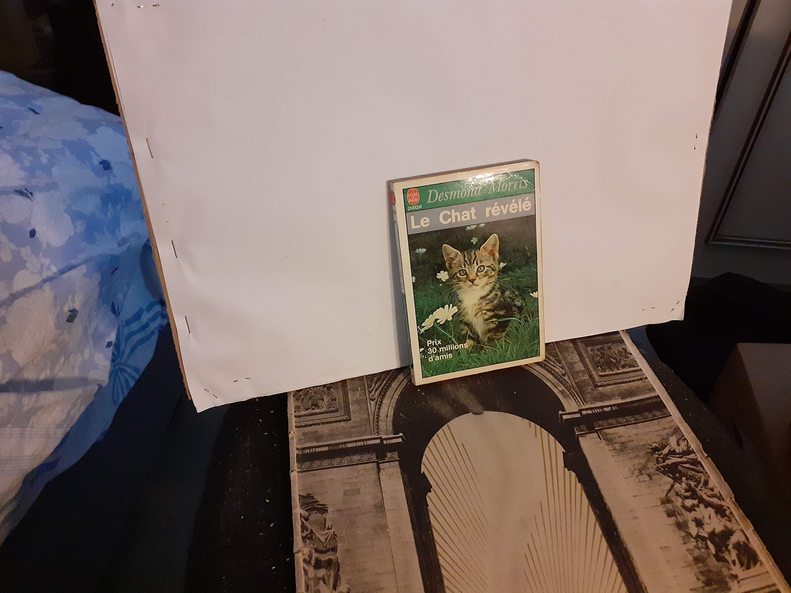 Le Chat révélé : Guide essentiel du comportement de votre chat 9782253046585